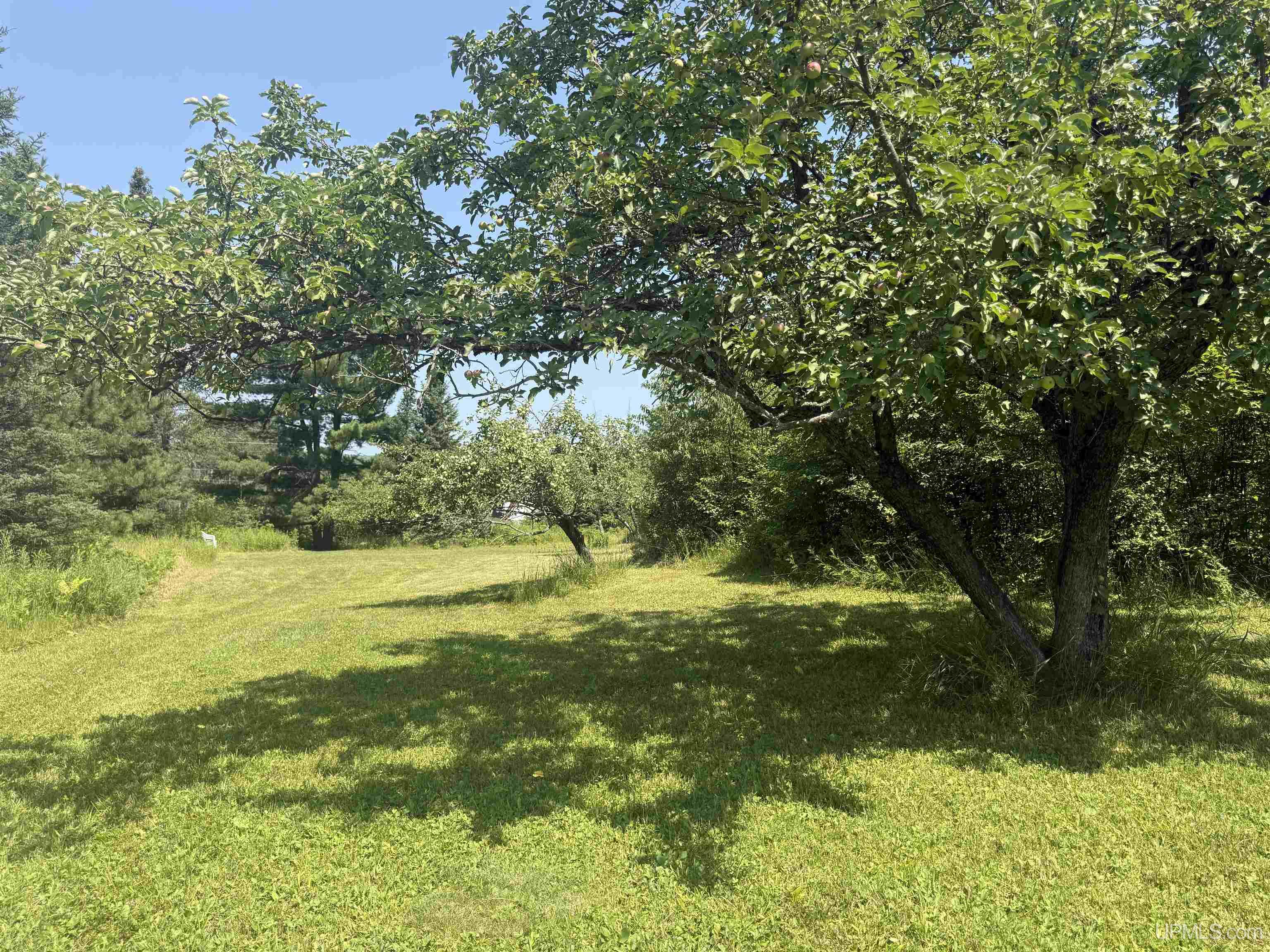 6.29 Acres Pakkala Road Property Photo 6