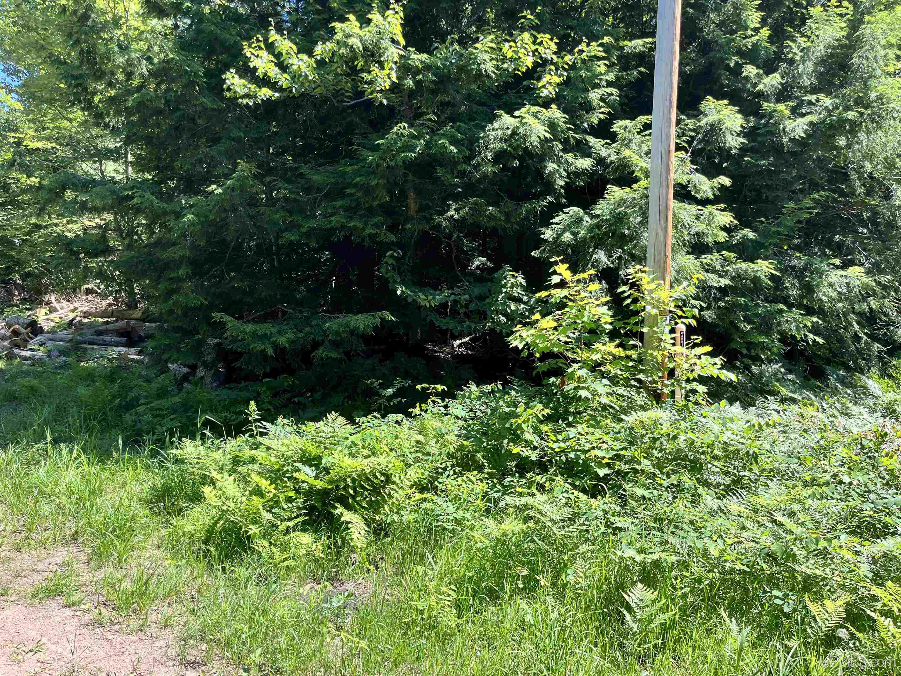 Tbd Lakeshore Drive Property Photo 2