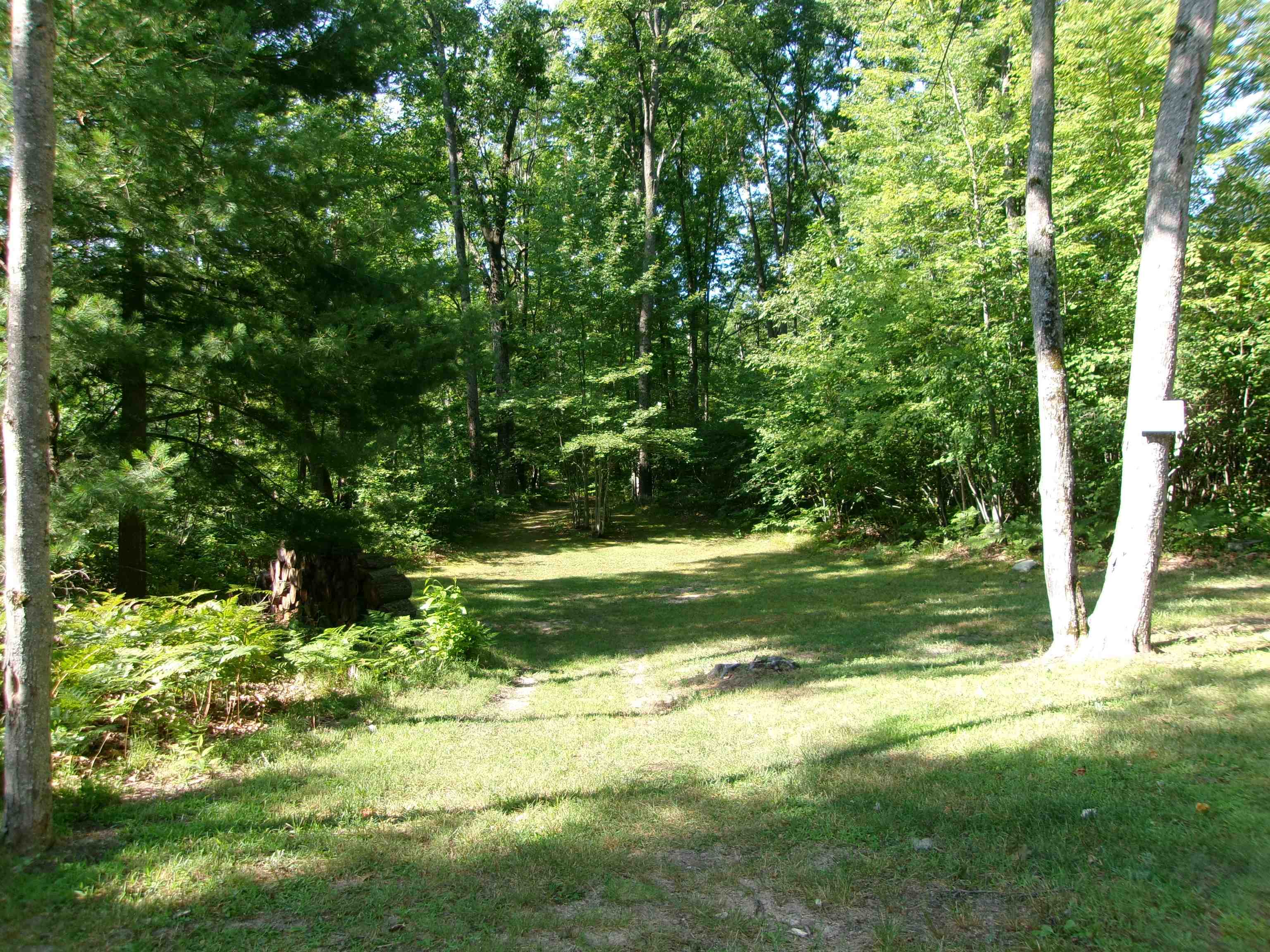1808 Arbor Drive Property Photo 4