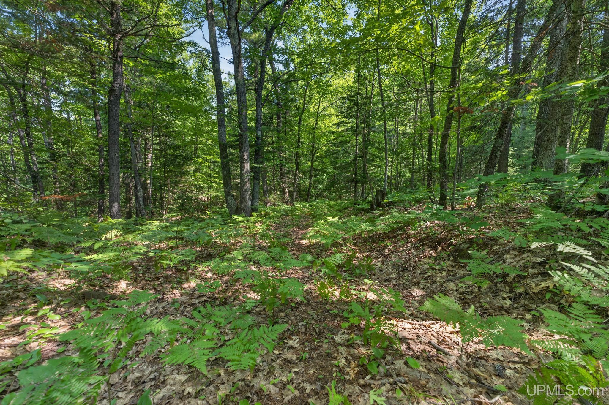 1003 County Road 480 Road Property Photo 51