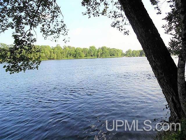 N9582 Cottage Lane Property Photo 1
