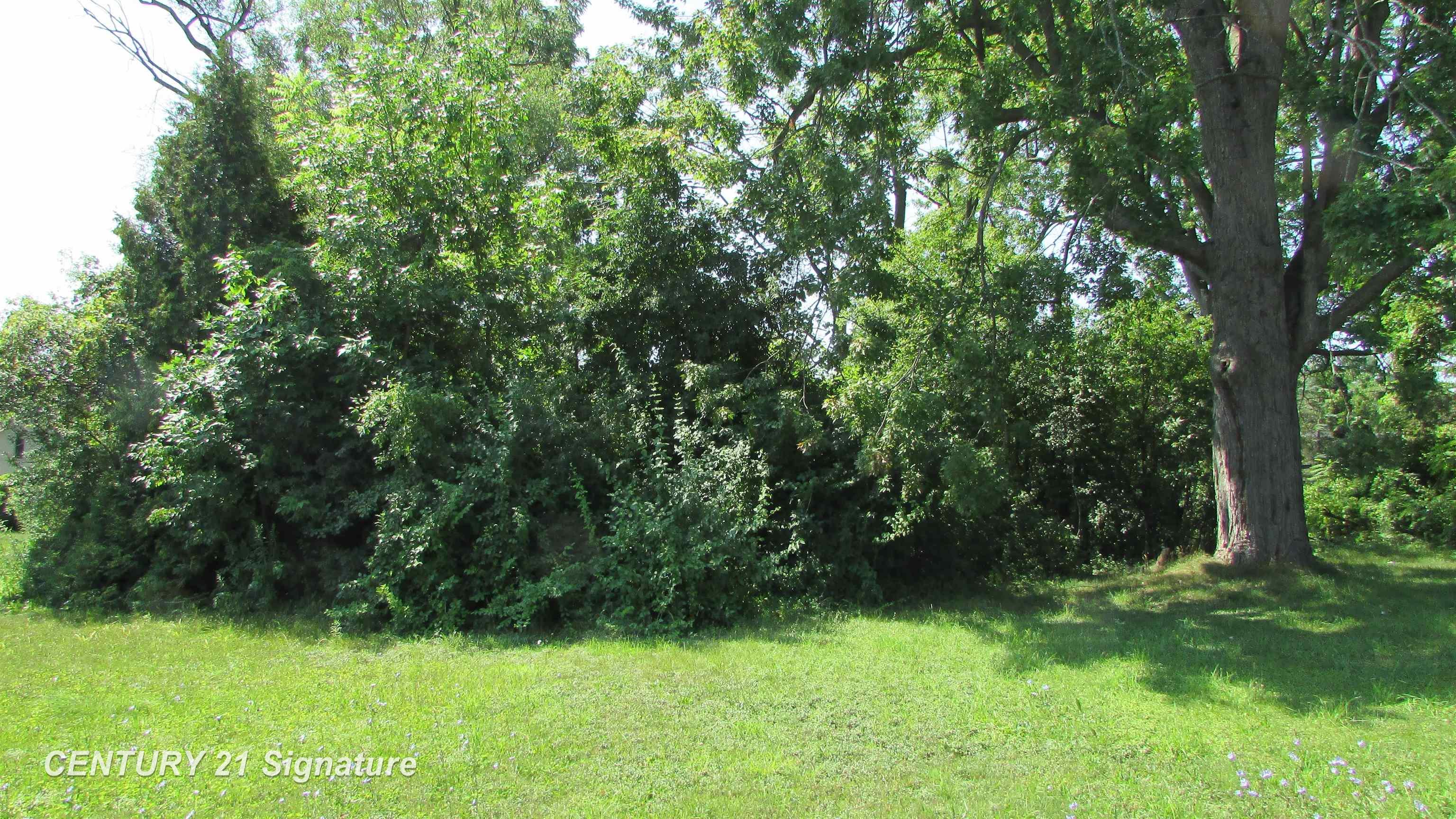 Parcel A Gratiot Road Property Photo 1