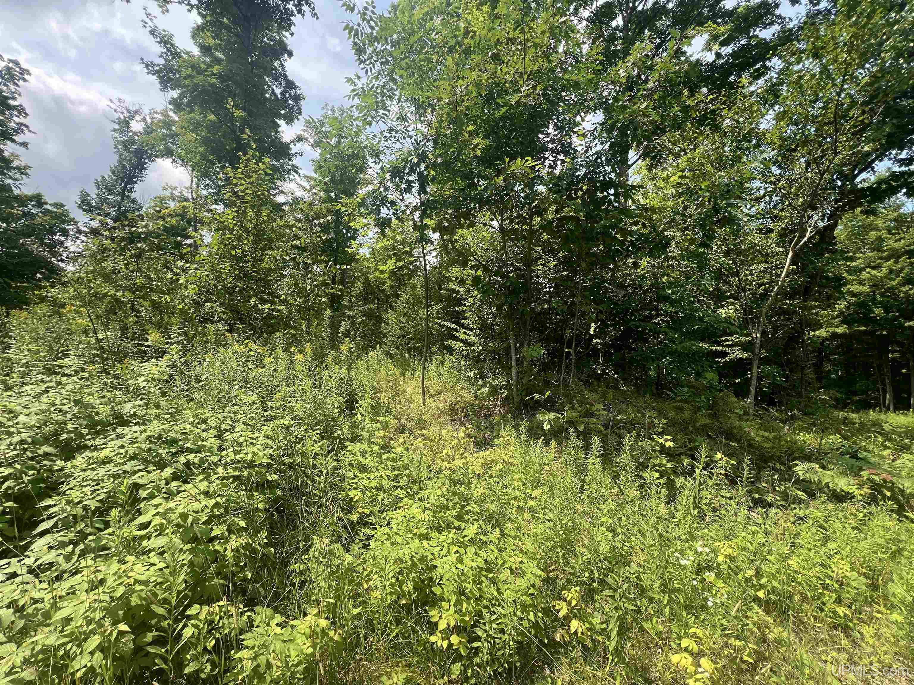 Tbd Little Bear Road Property Photo 2