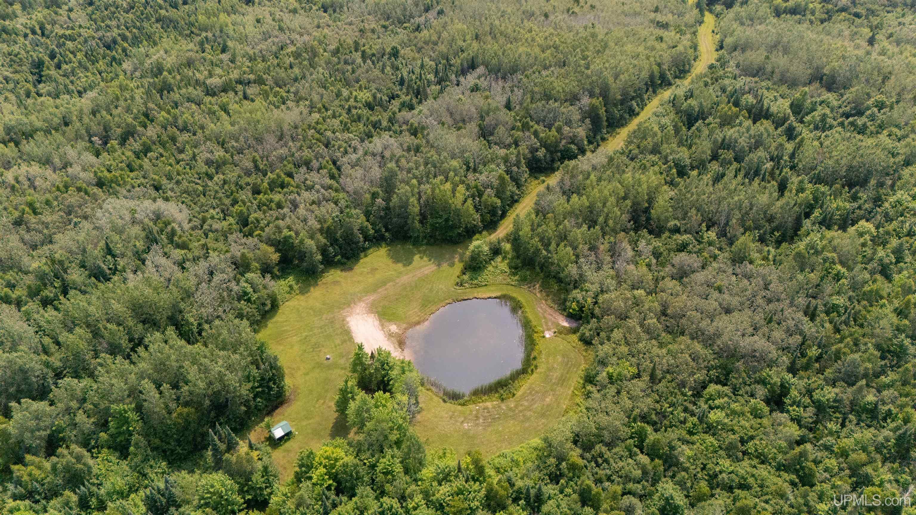 35 Acres Townline Road Property Photo 1