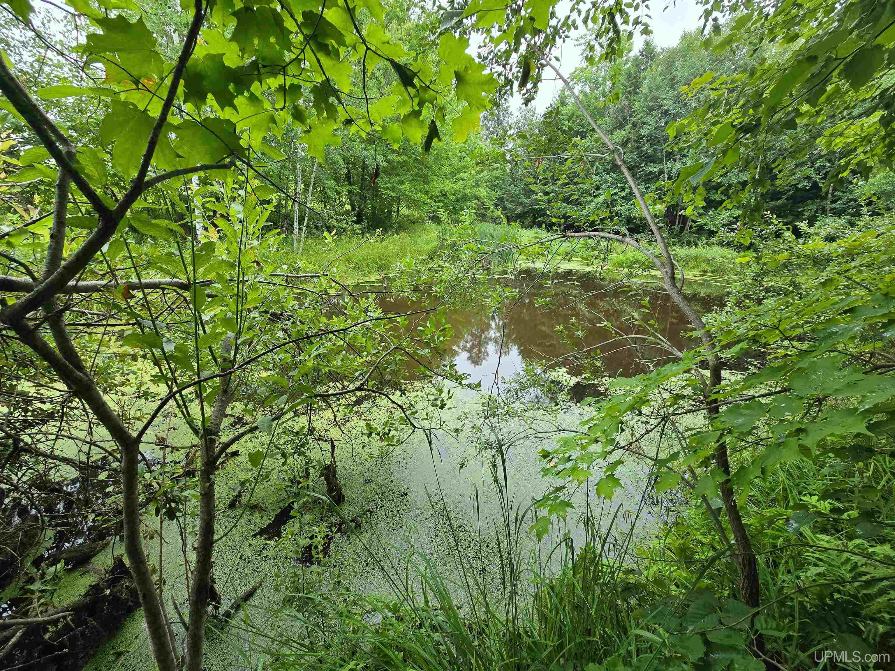 Tbd Moyer Road Property Photo 25