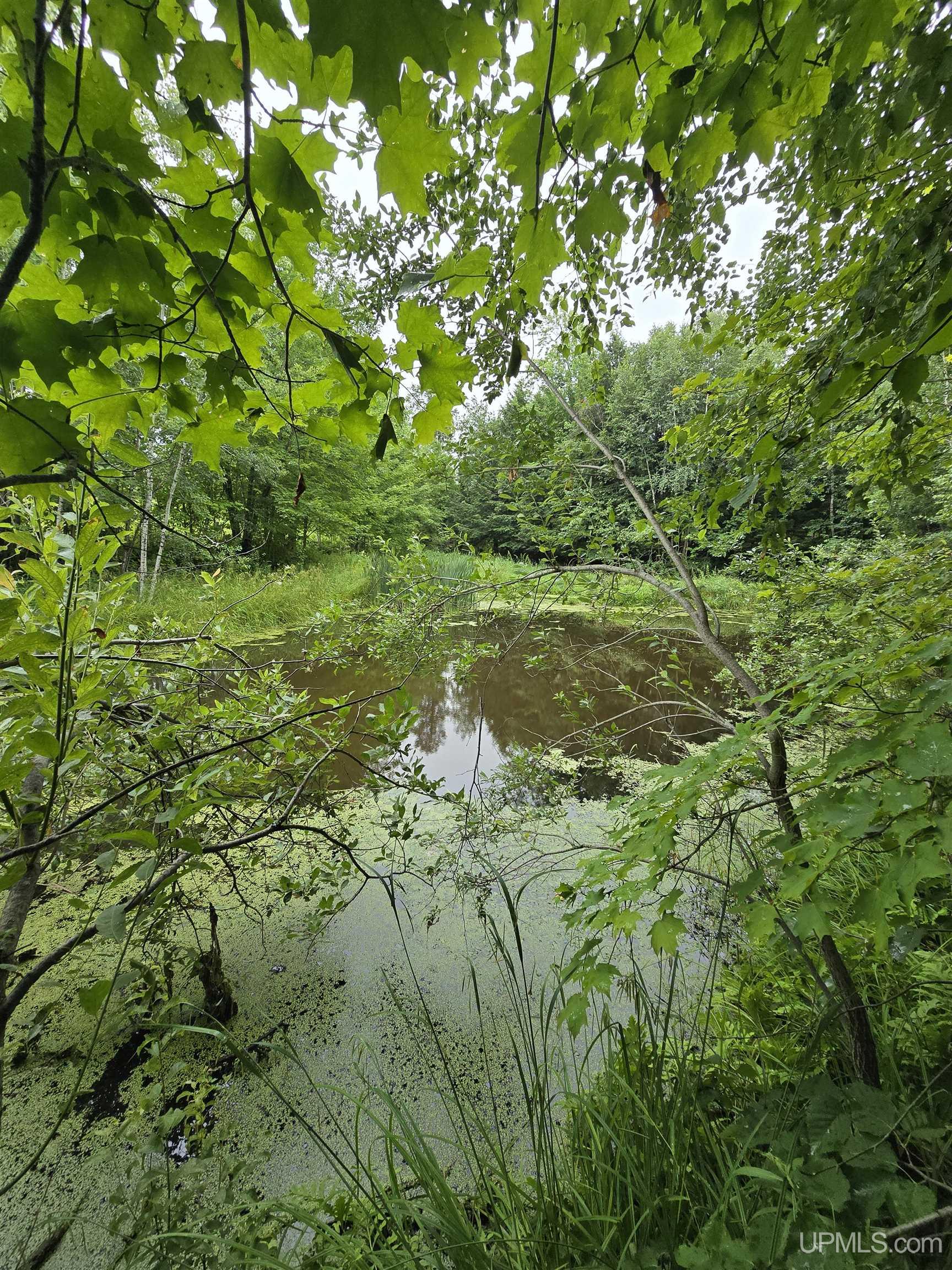 Tbd Moyer Road Property Photo 26