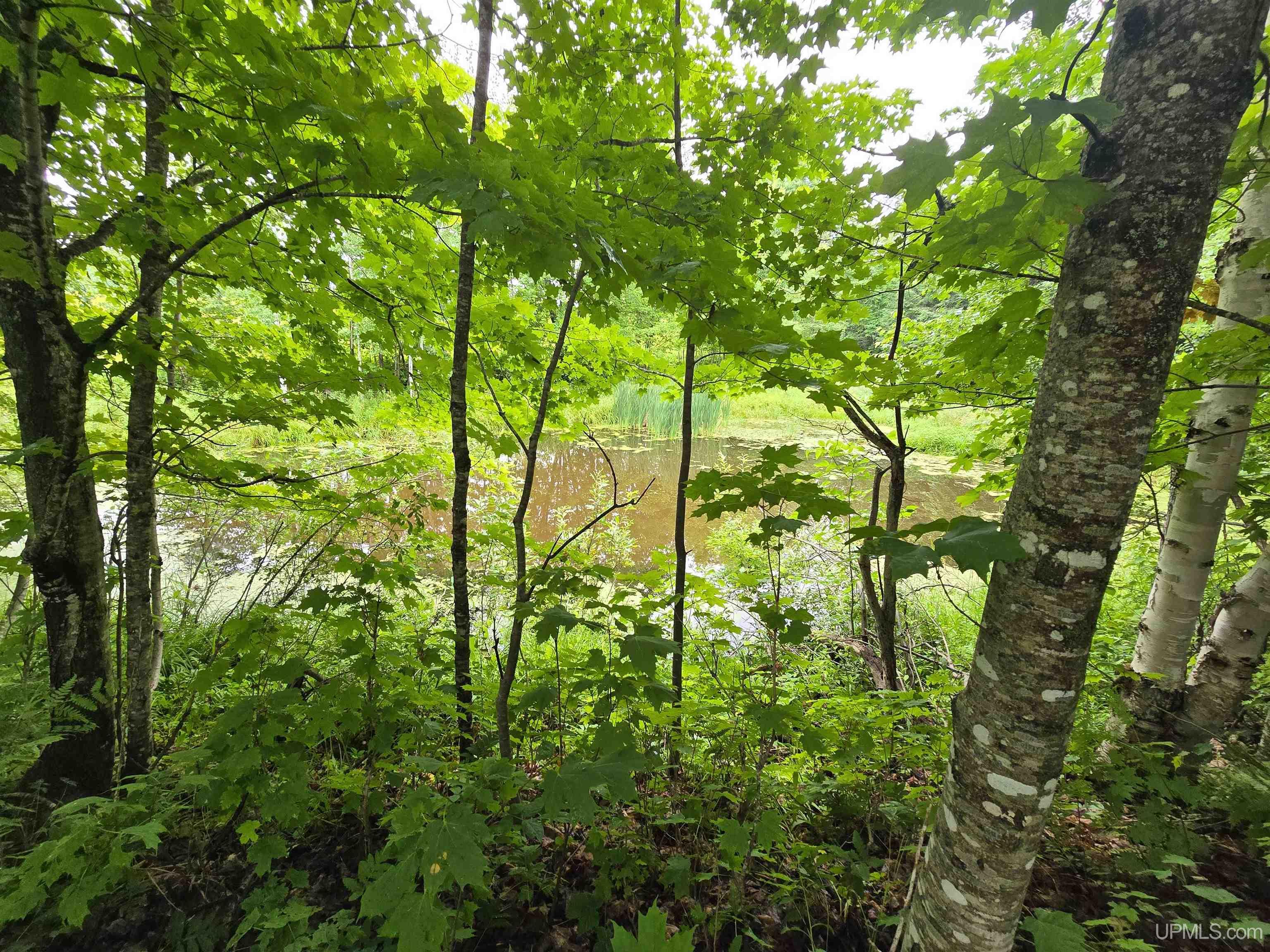 Tbd Moyer Road Property Photo 27