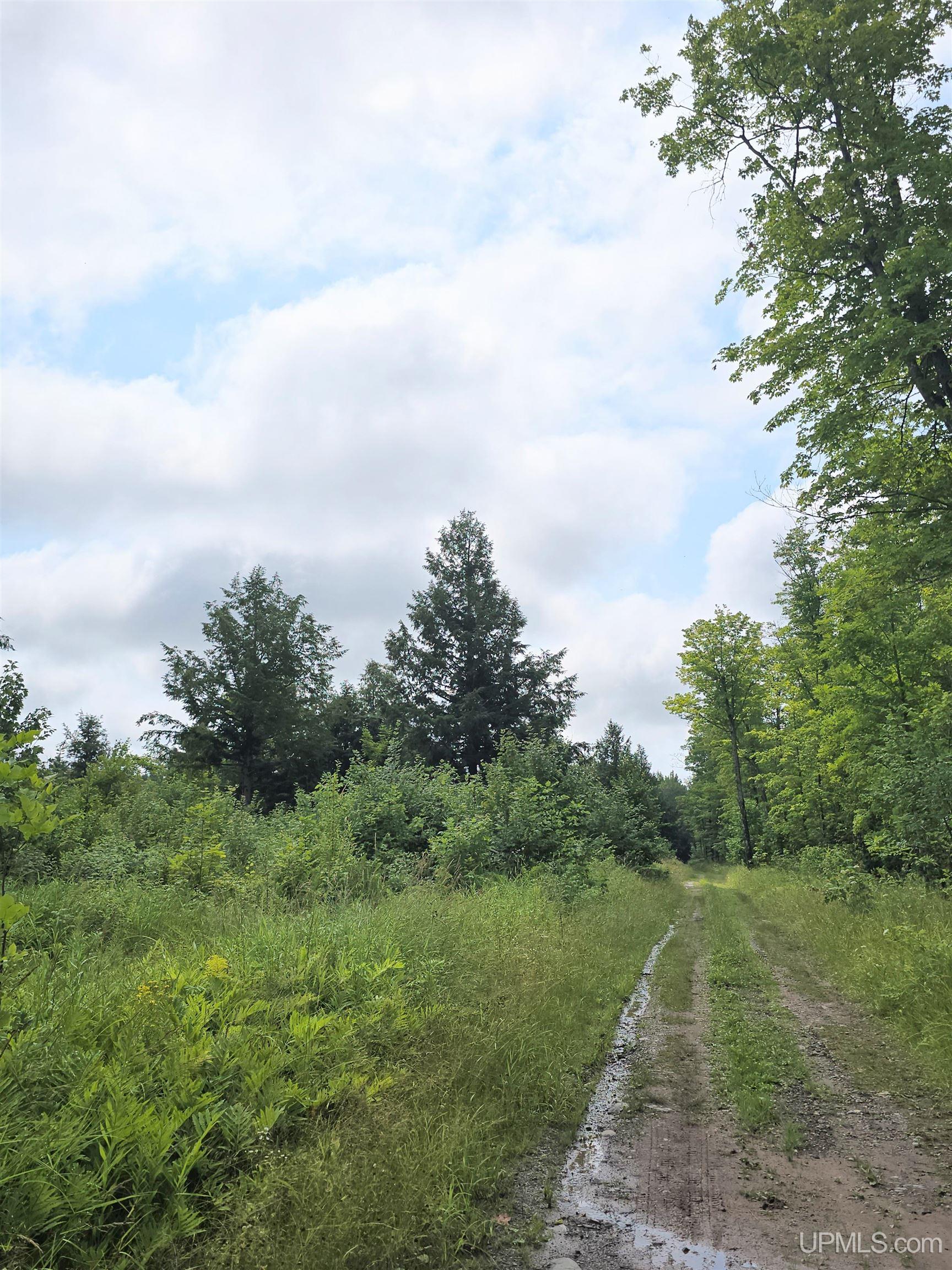Tbd Moyer Road Property Photo 31