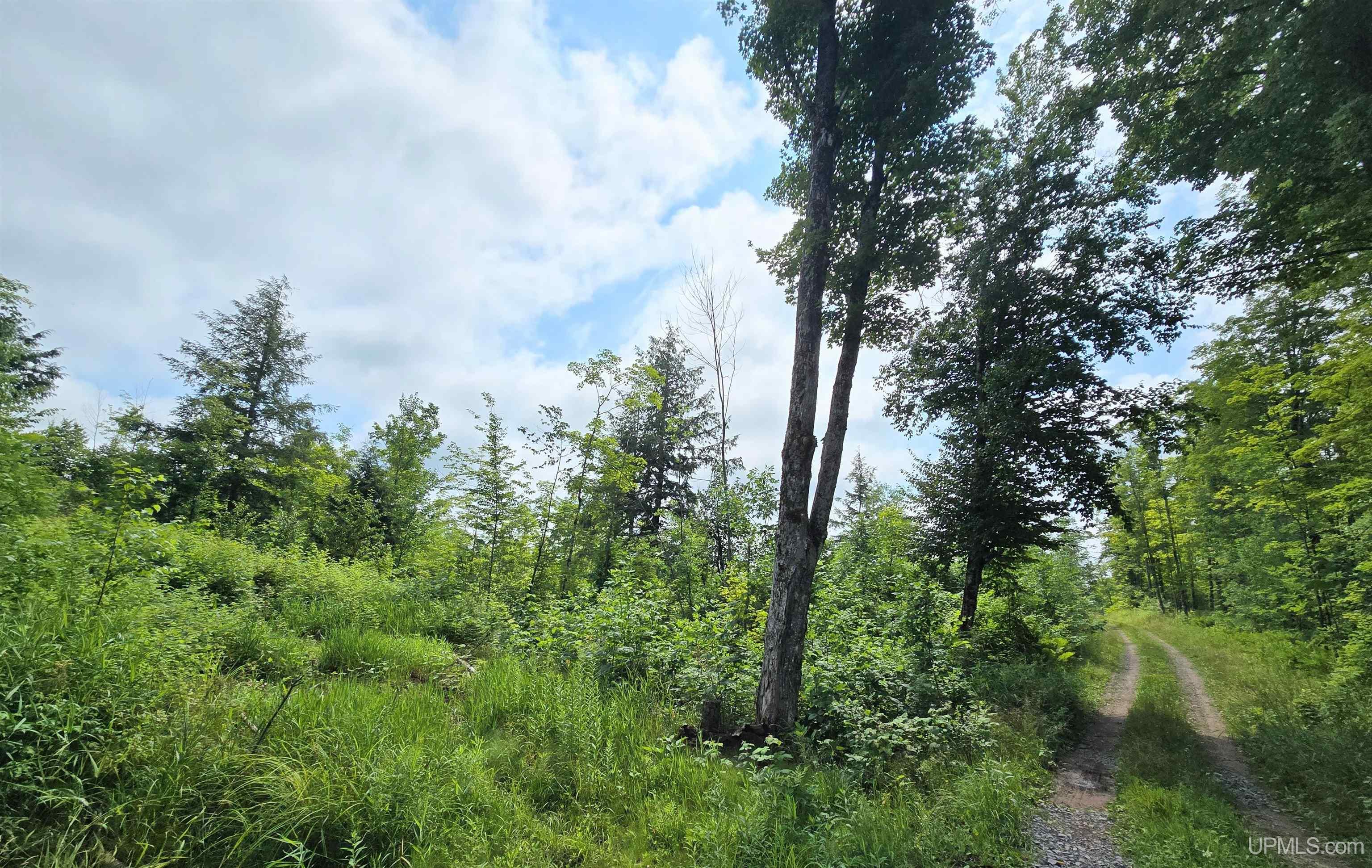 Tbd Moyer Road Property Photo 36