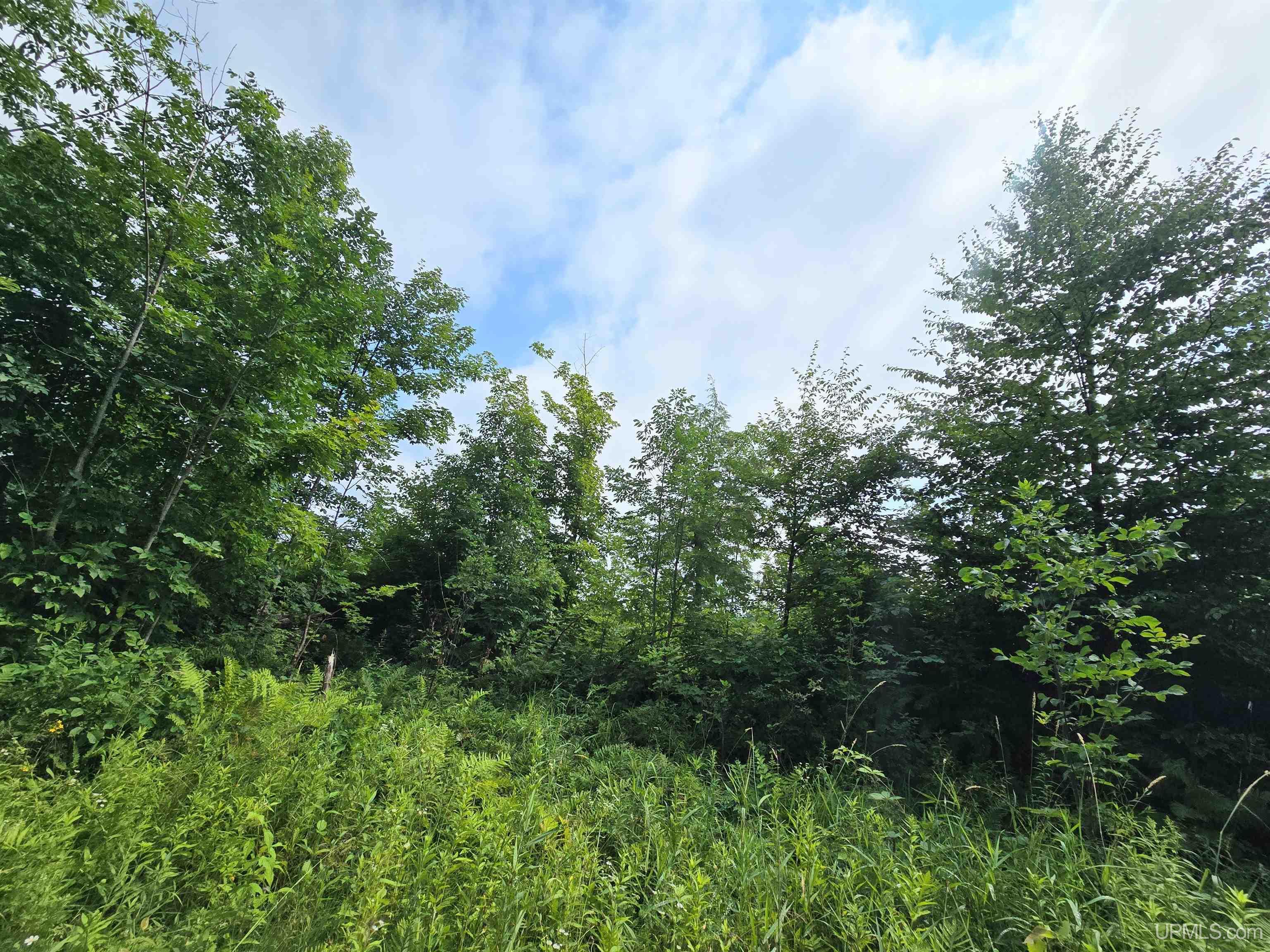 Tbd Moyer Road Property Photo 37