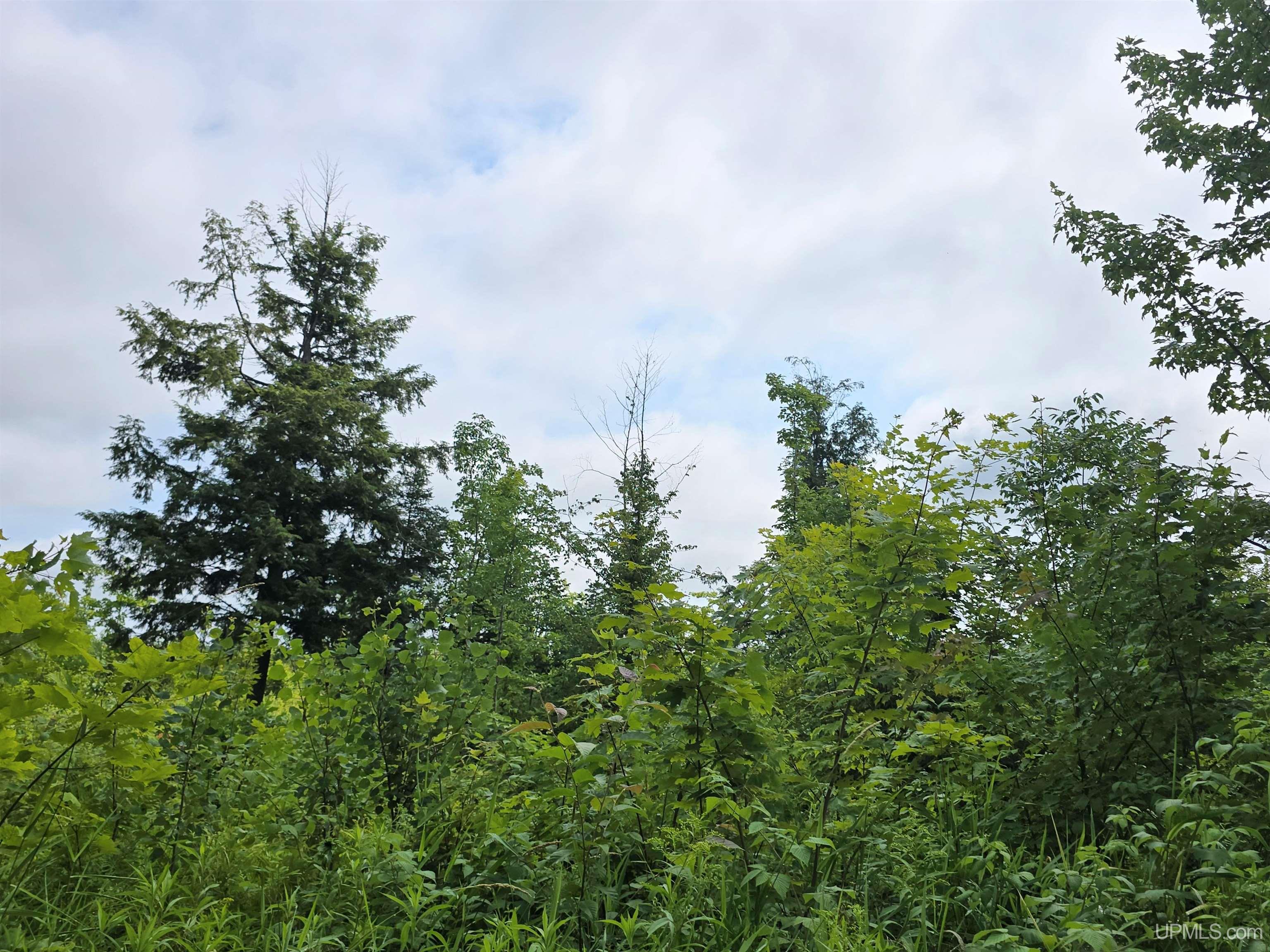 Tbd Moyer Road Property Photo 38
