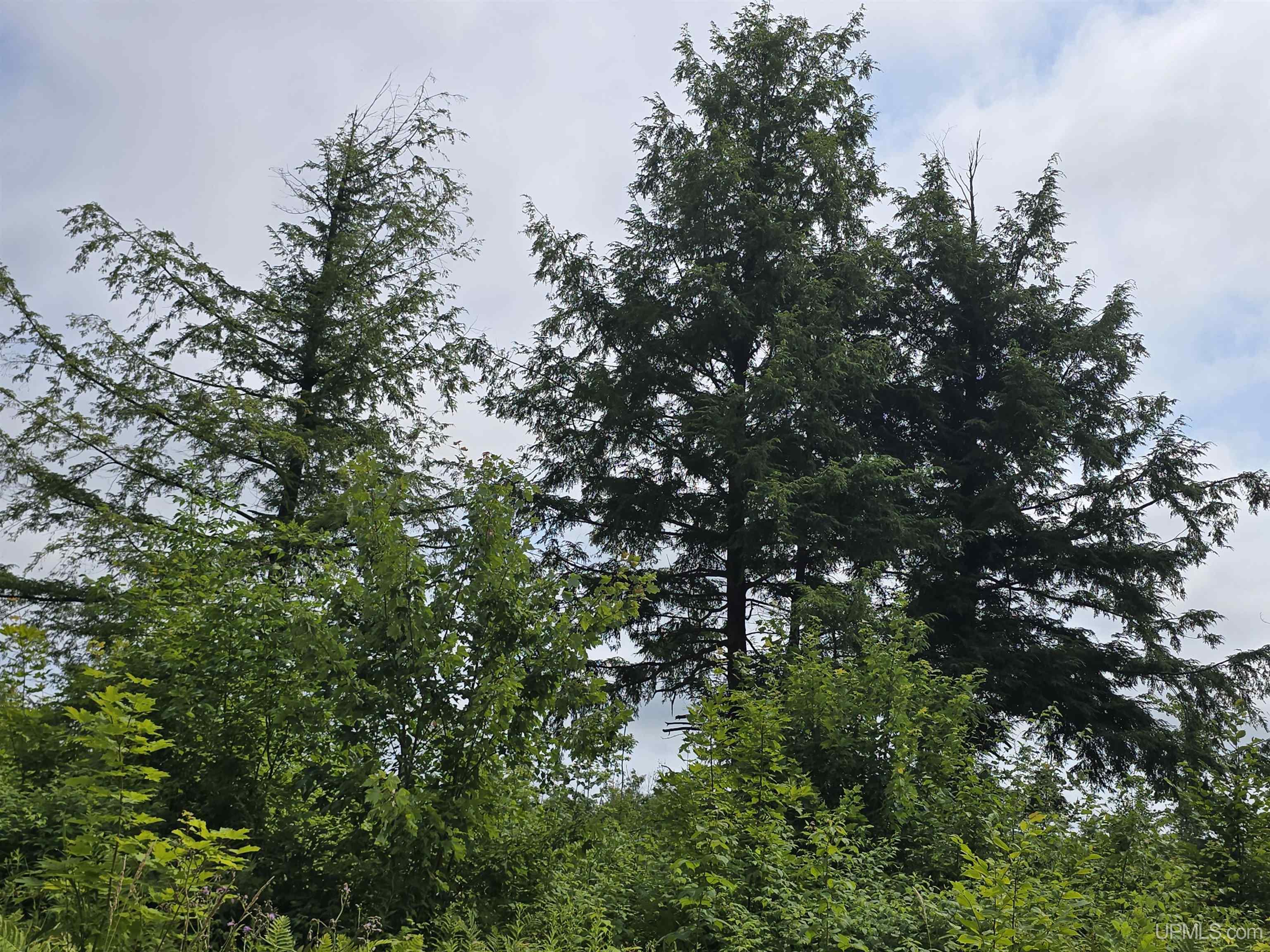 Tbd Moyer Road Property Photo 39