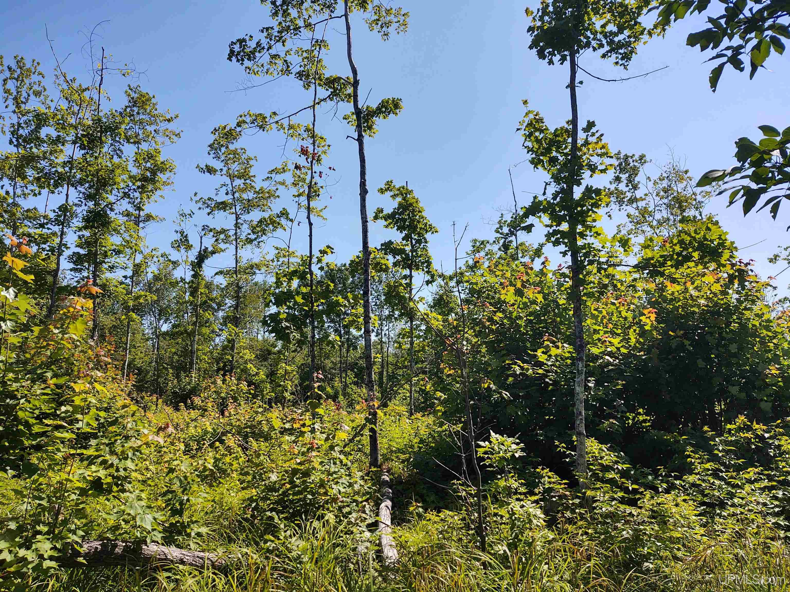 Tbd Moyer Road Property Photo 43