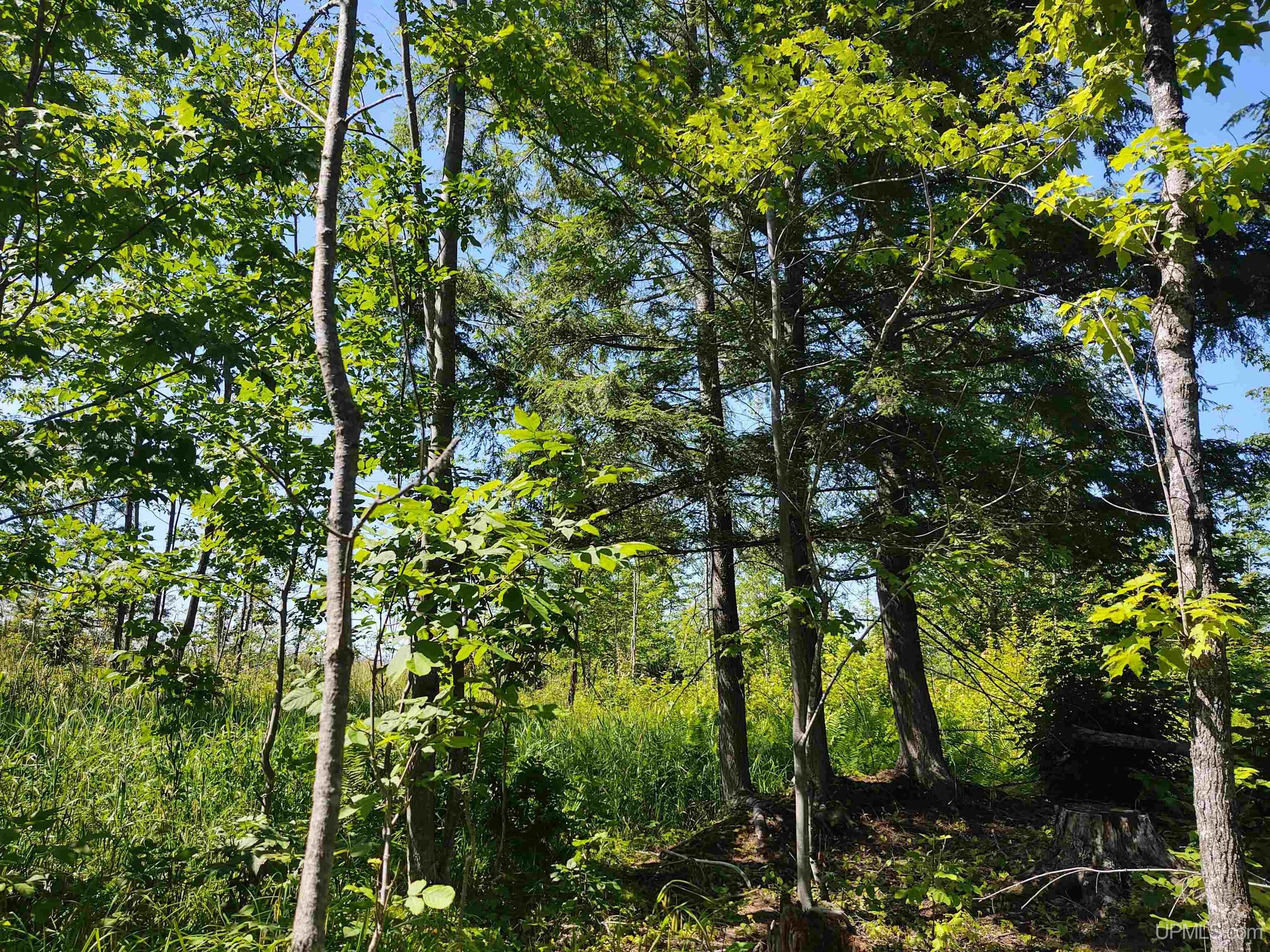 Tbd Moyer Road Property Photo 49