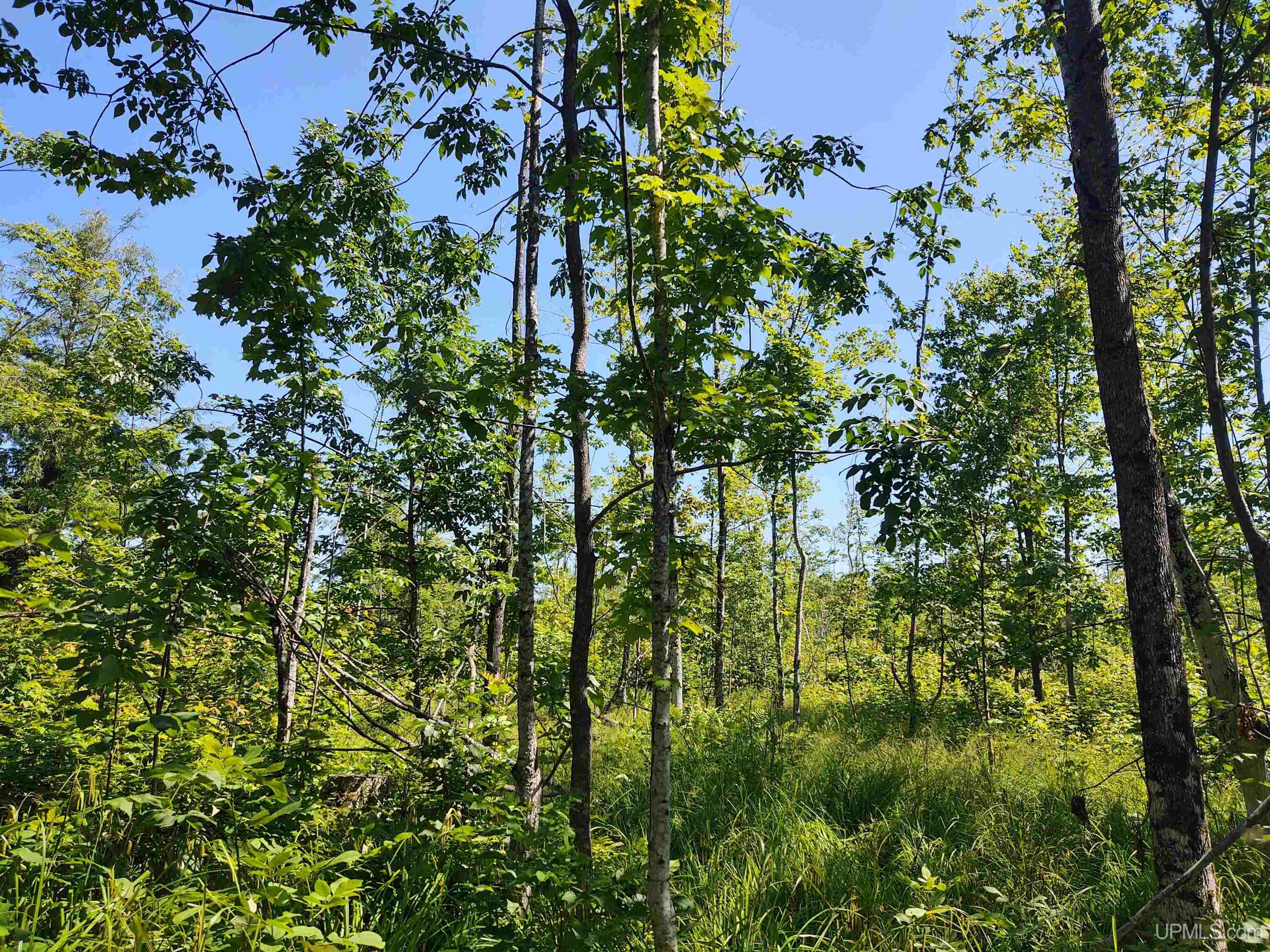 Tbd Moyer Road Property Photo 50