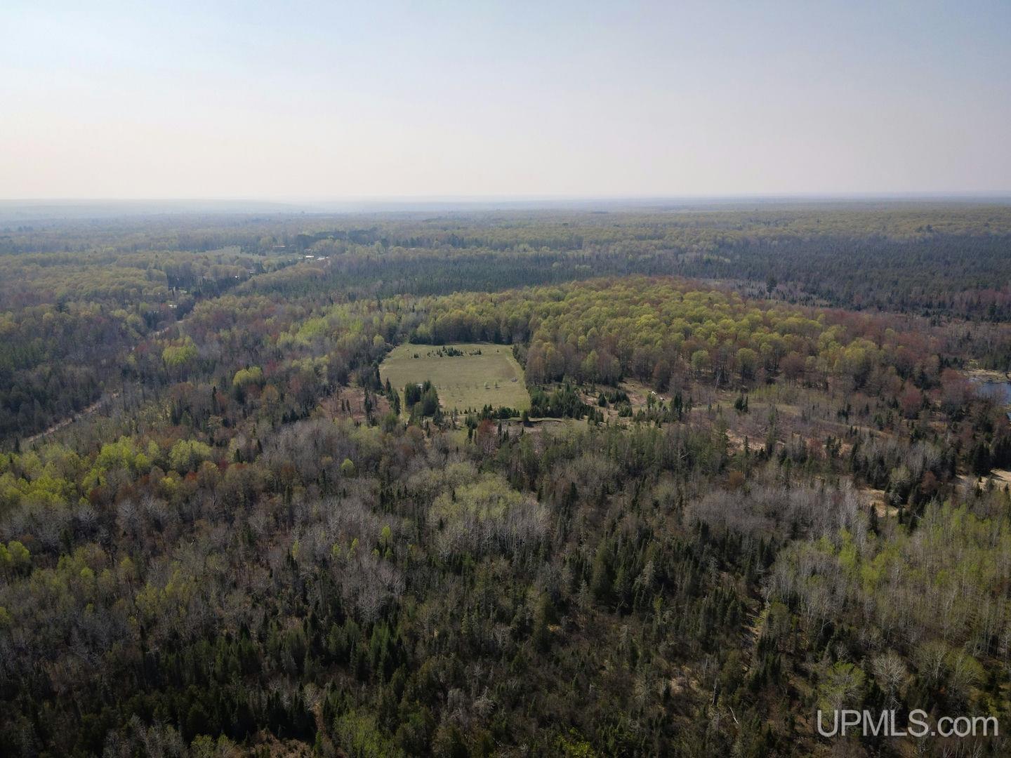 Tbd Parks Farm Road Property Photo 4