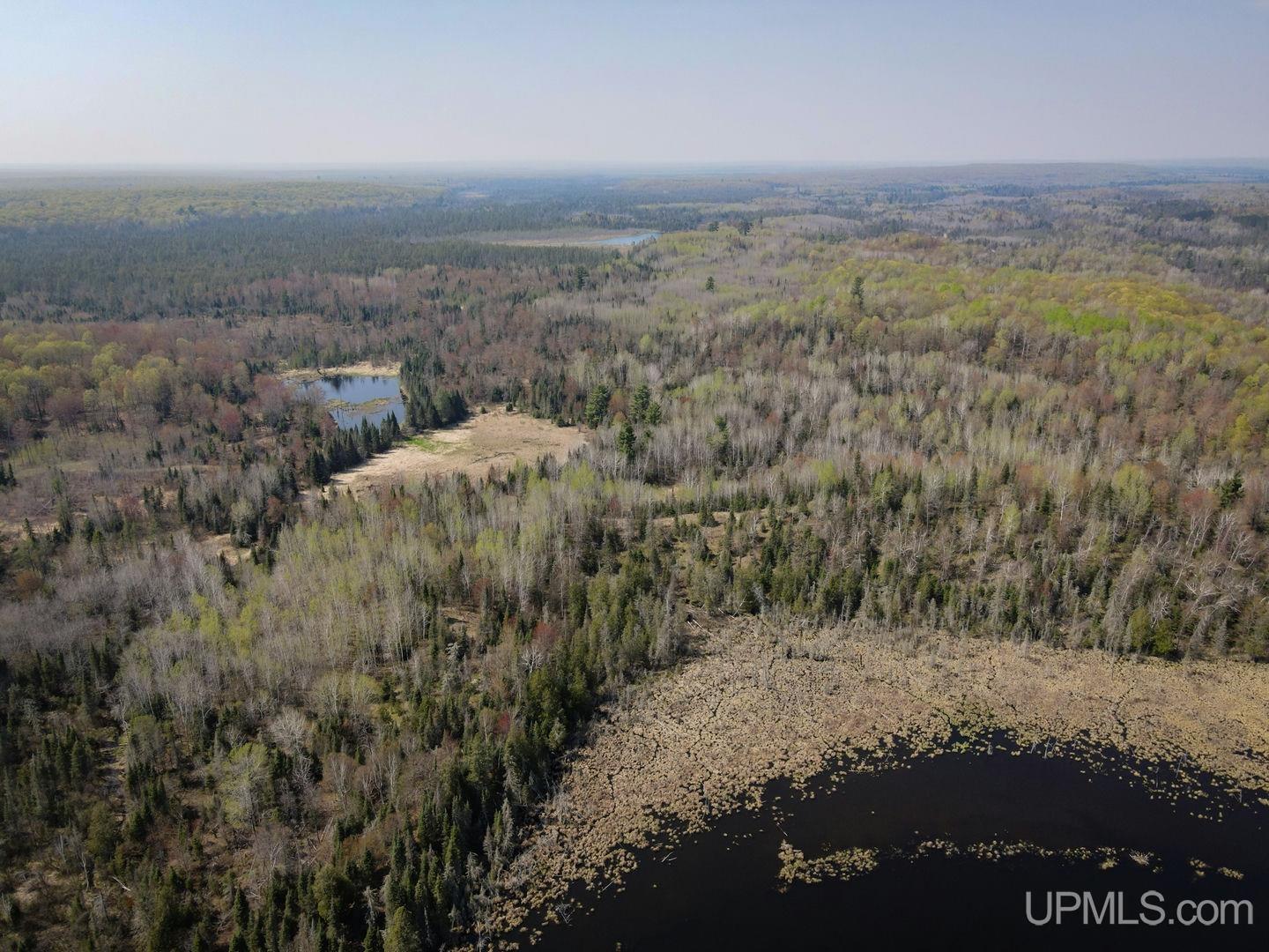 Tbd Parks Farm Road Property Photo 5