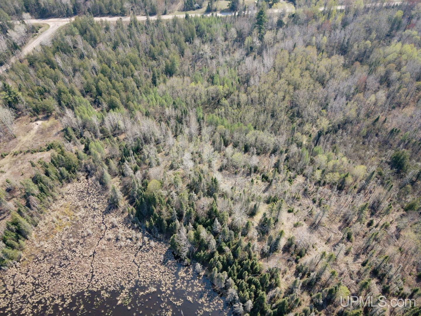 Tbd Parks Farm Road Property Photo 6