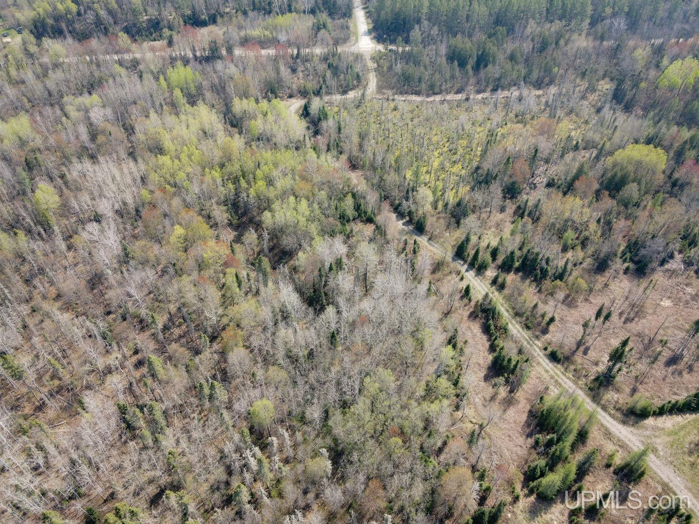 Tbd Parks Farm Road Property Photo 7