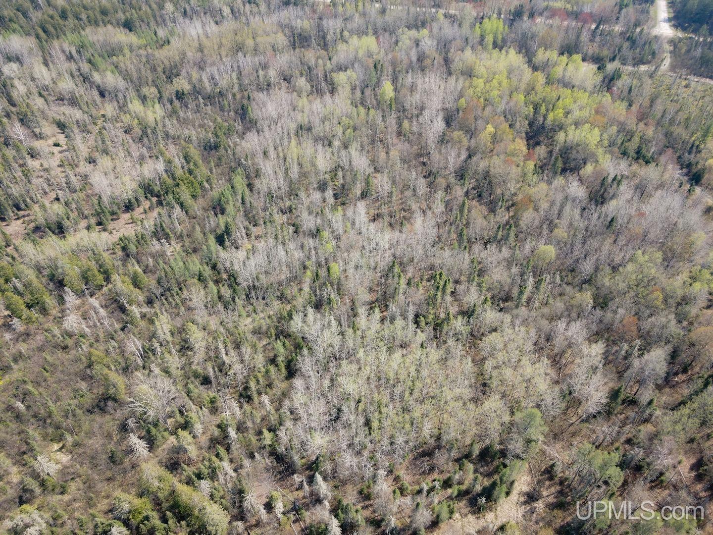 Tbd Parks Farm Road Property Photo 8
