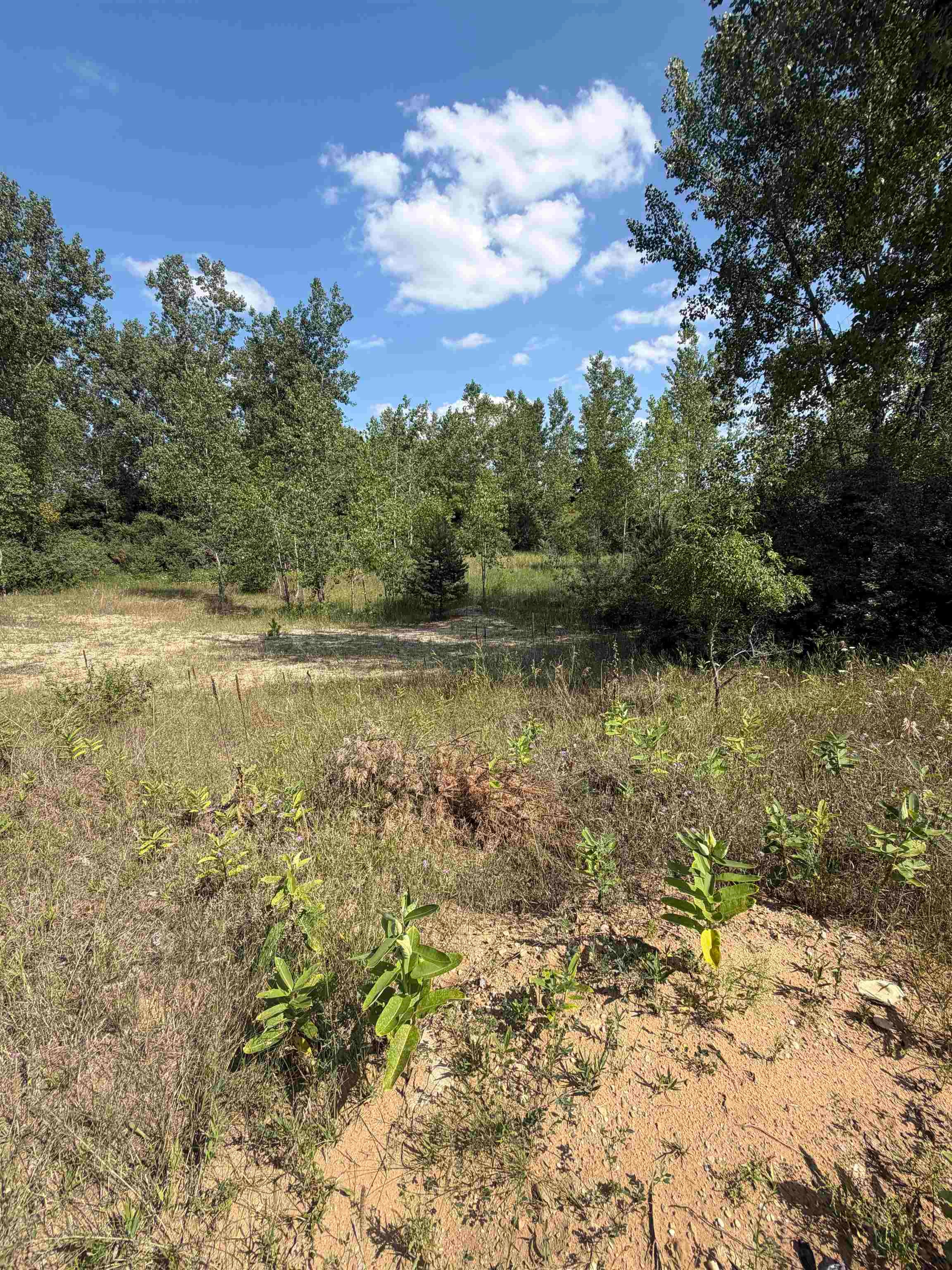 V/l Ambrose Road Property Photo 3