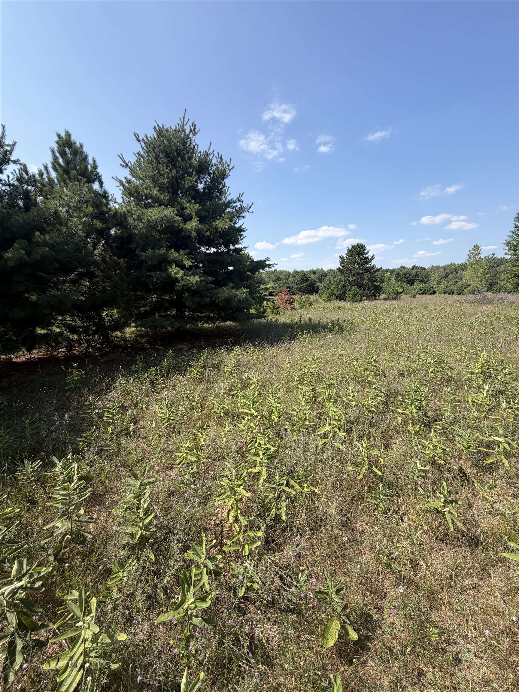 V/l Ambrose Road Property Photo 8