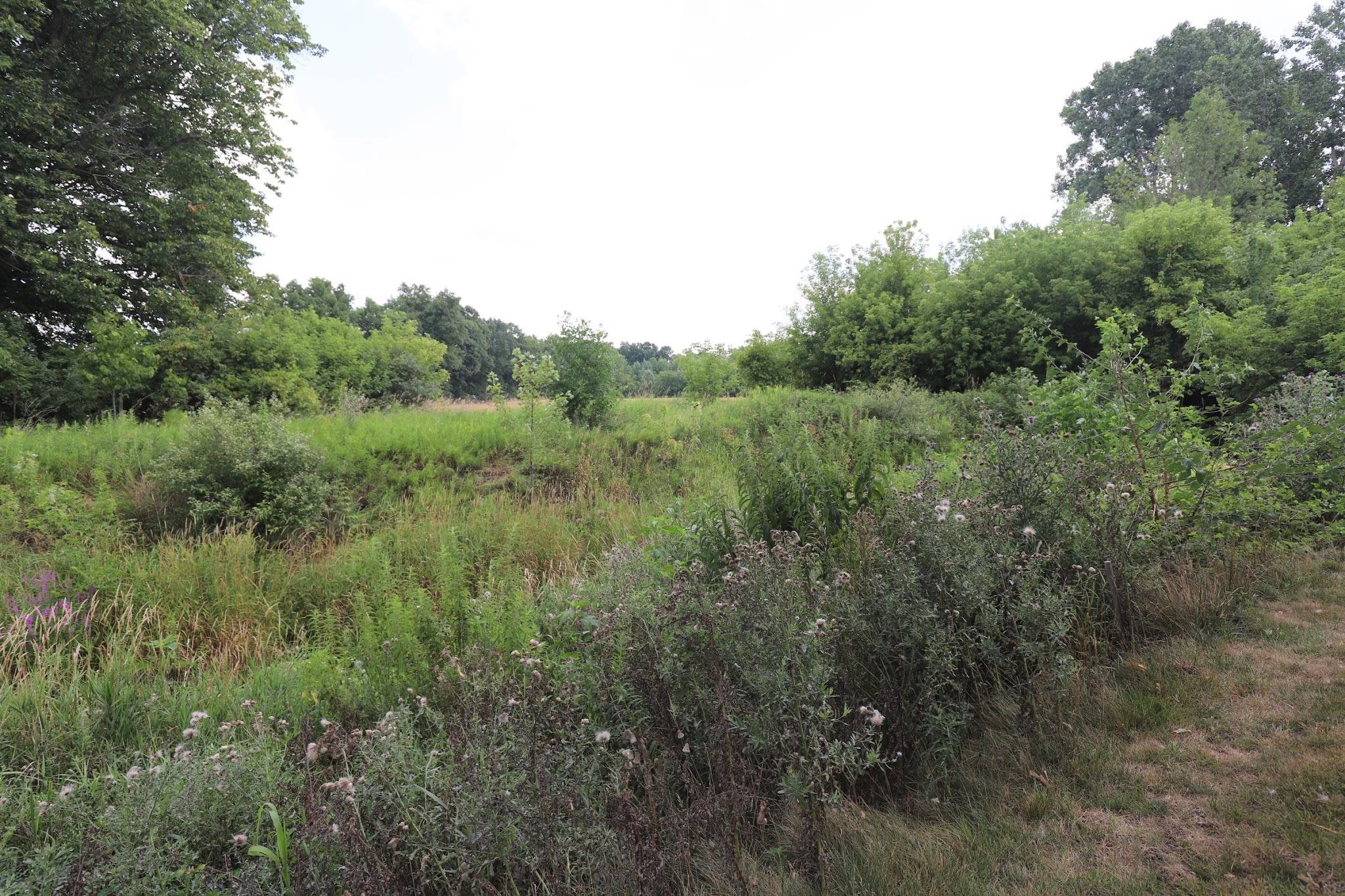1415 S Nichols Road Property Photo 31