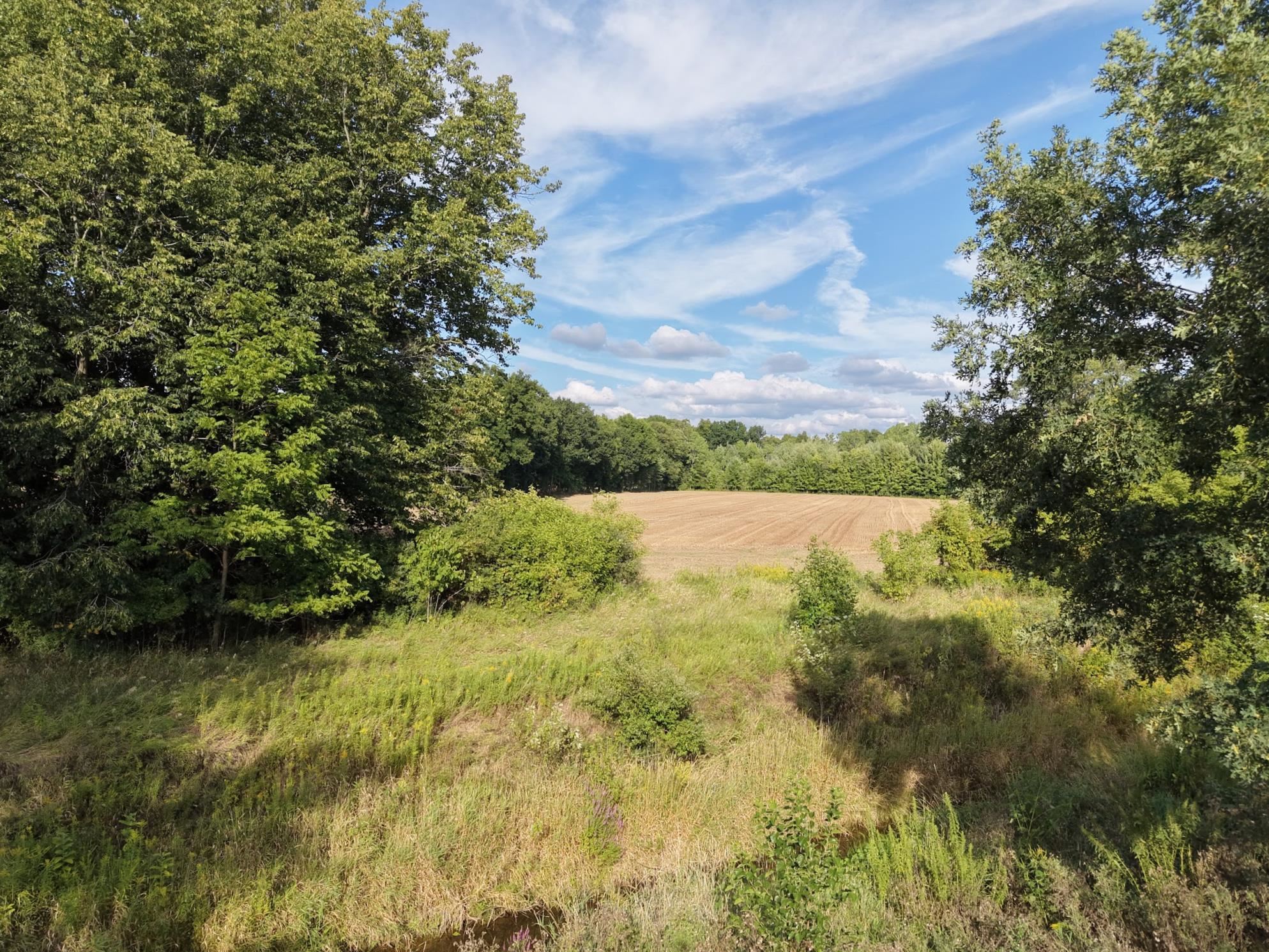 1415 S Nichols Road Property Photo 42