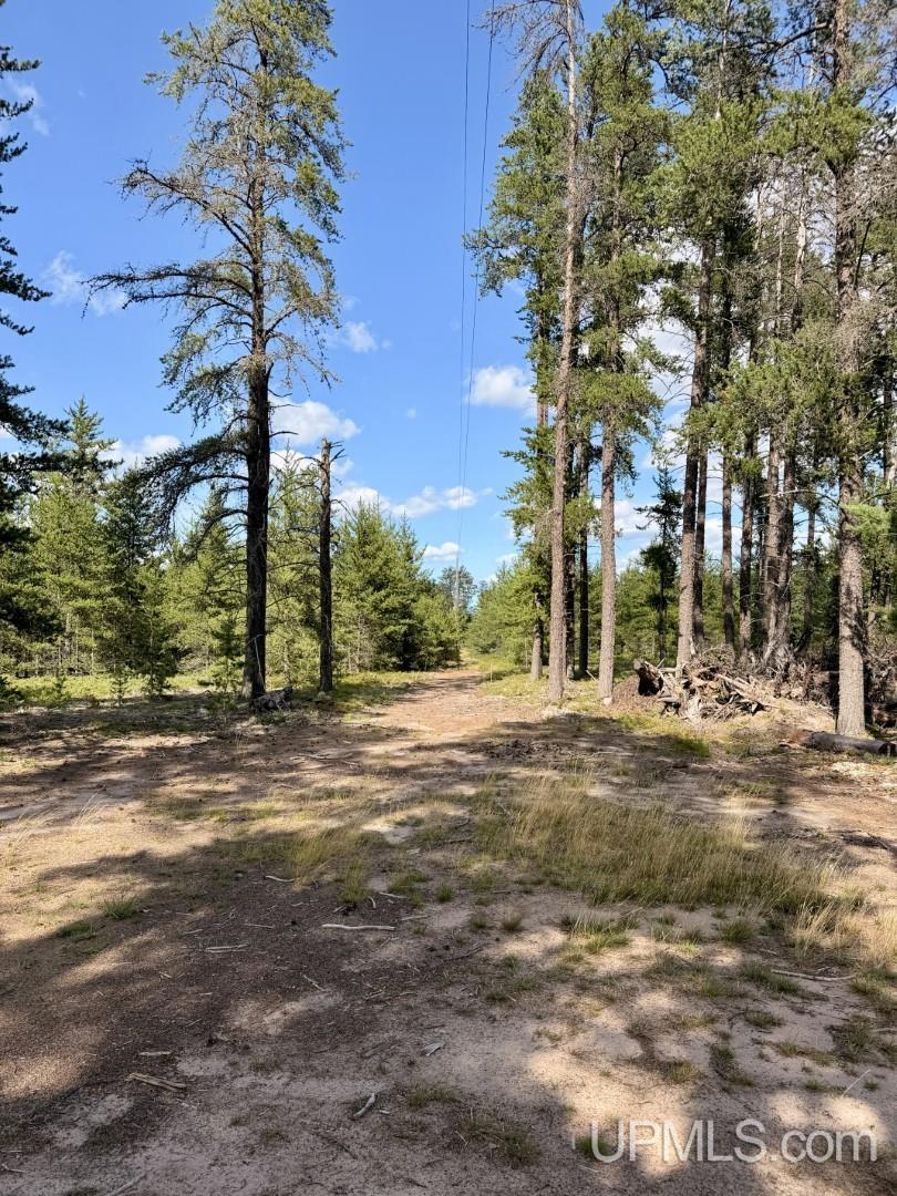 61 Road 1 Road Property Photo 8