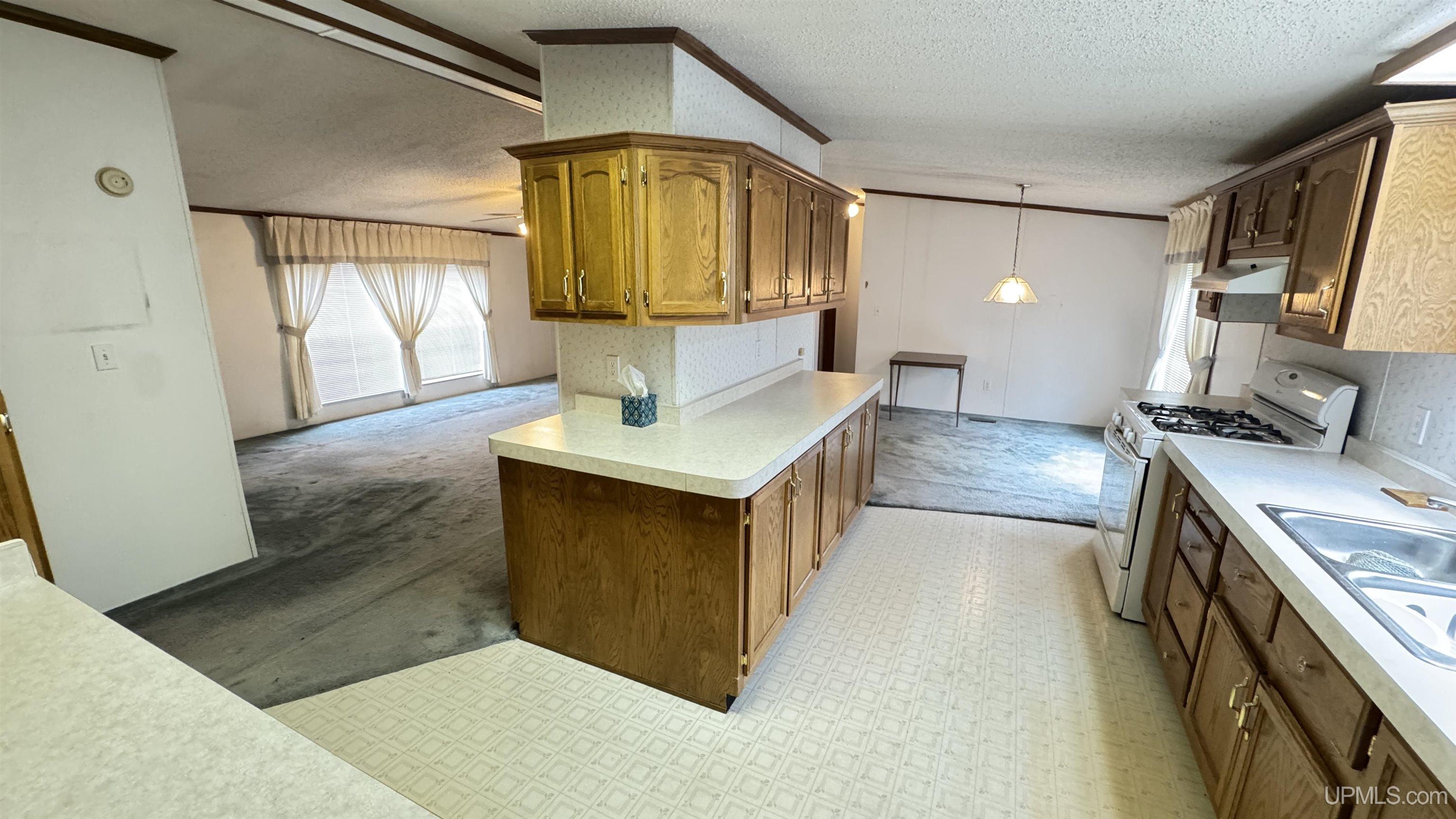 1217 Bluff Street Property Photo 4