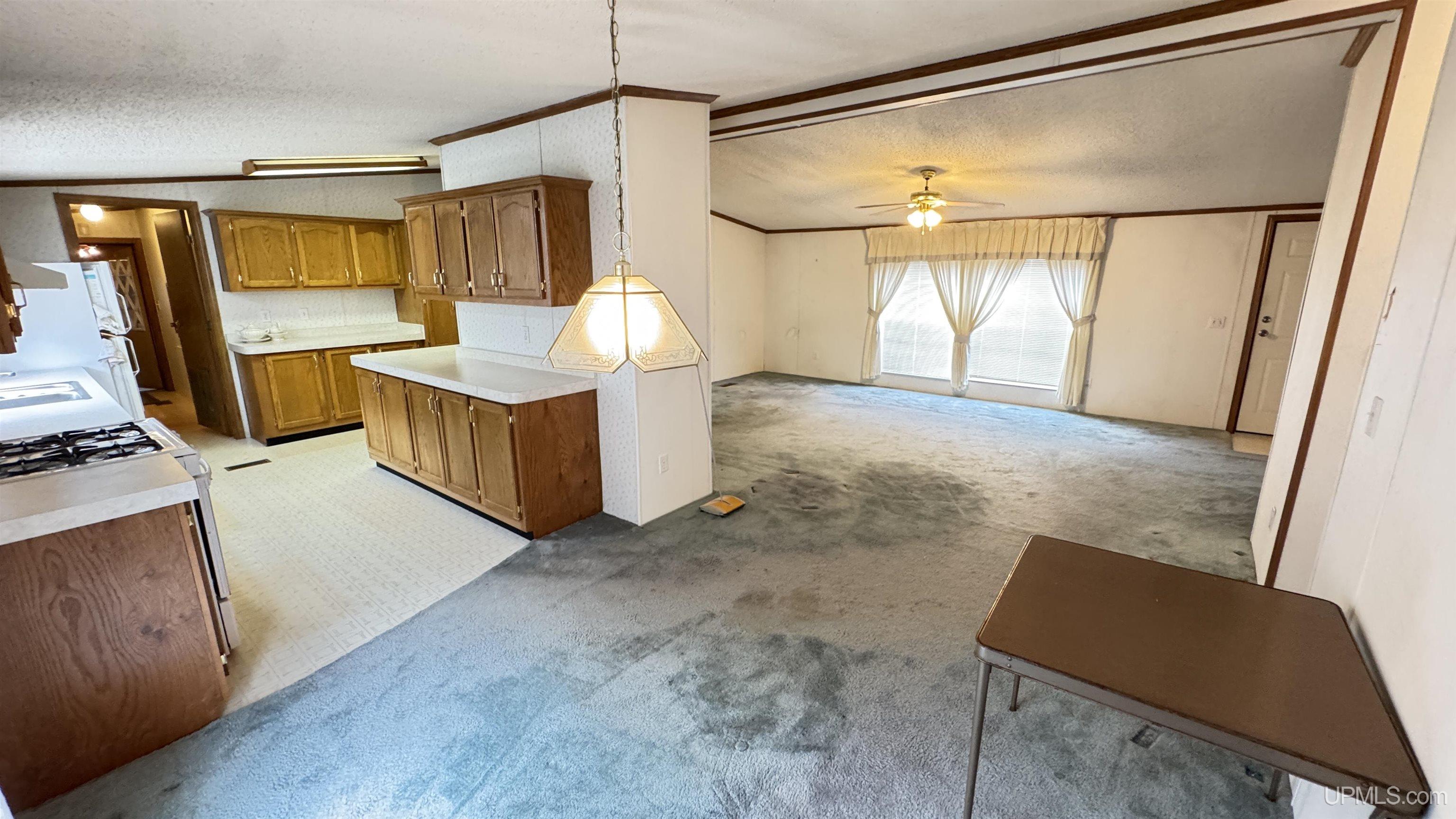 1217 Bluff Street Property Photo 6