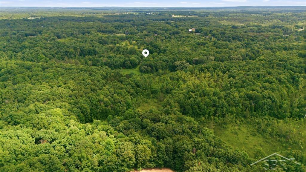 4991 Millis Road Property Photo 5
