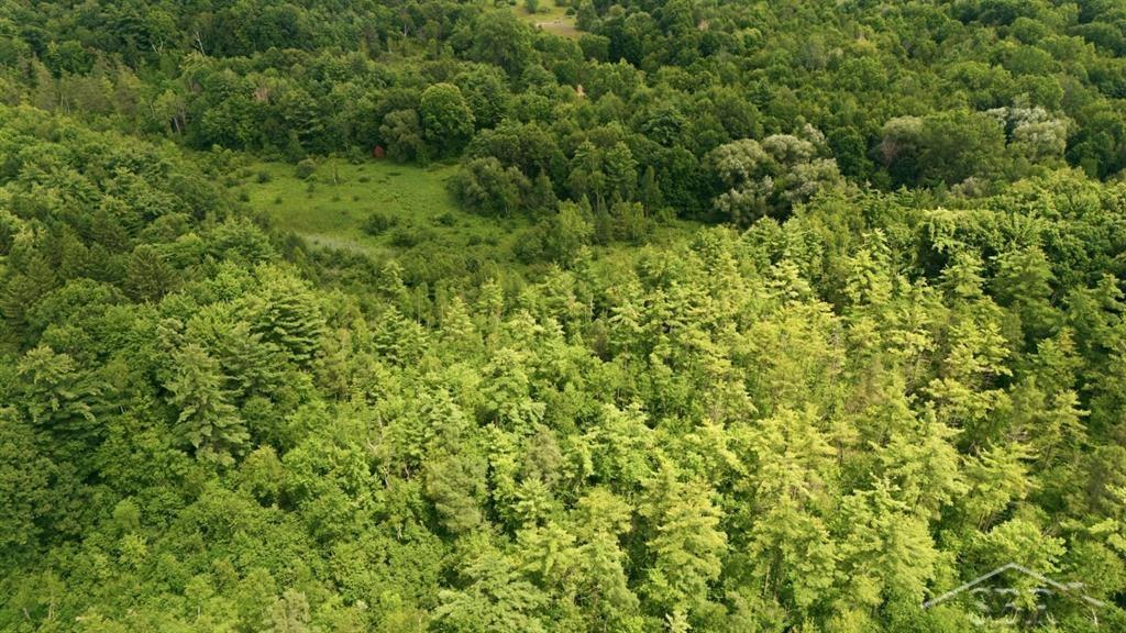4991 Millis Road Property Photo 57
