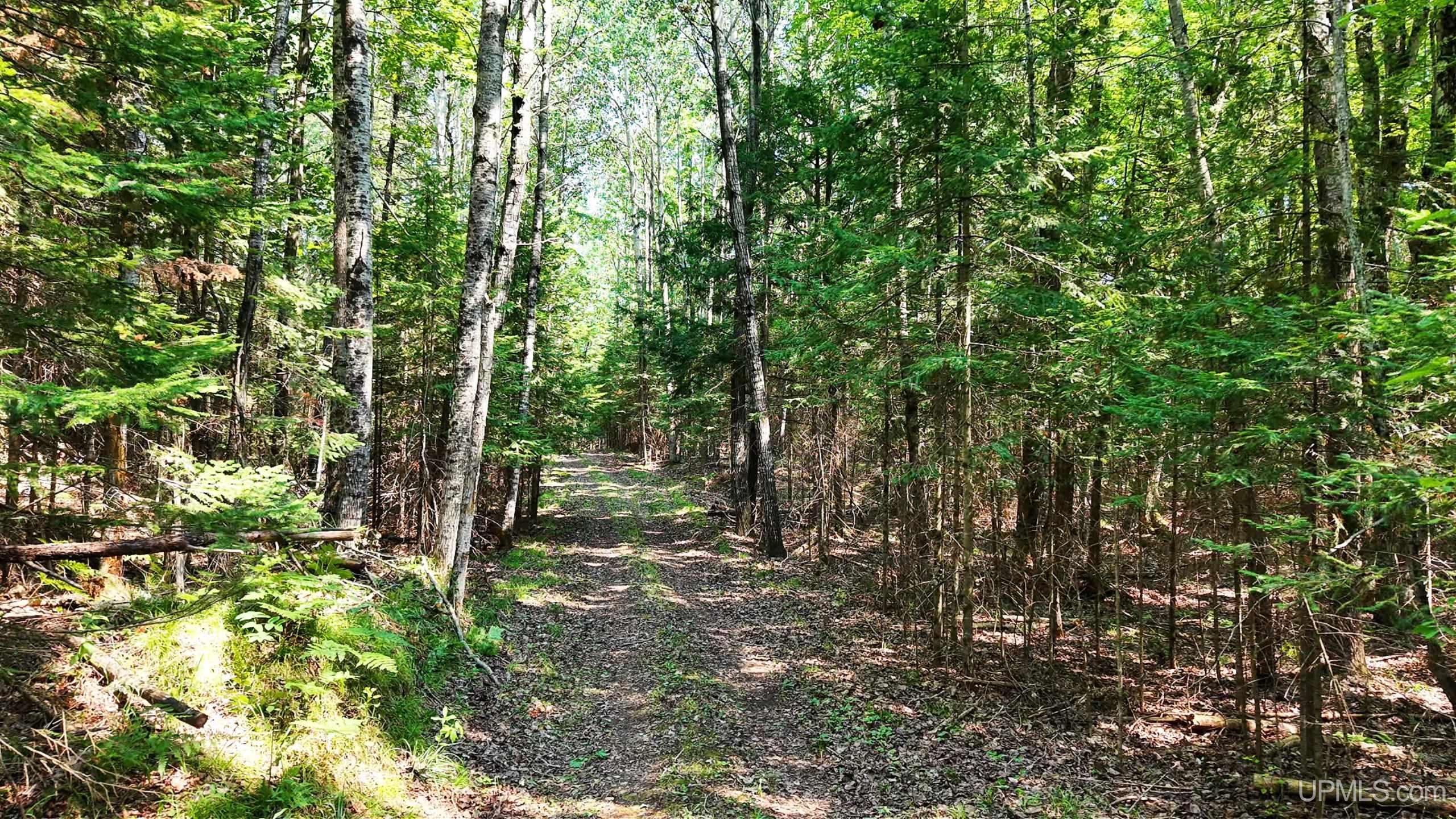 Tbd G Rd Road Property Photo 3