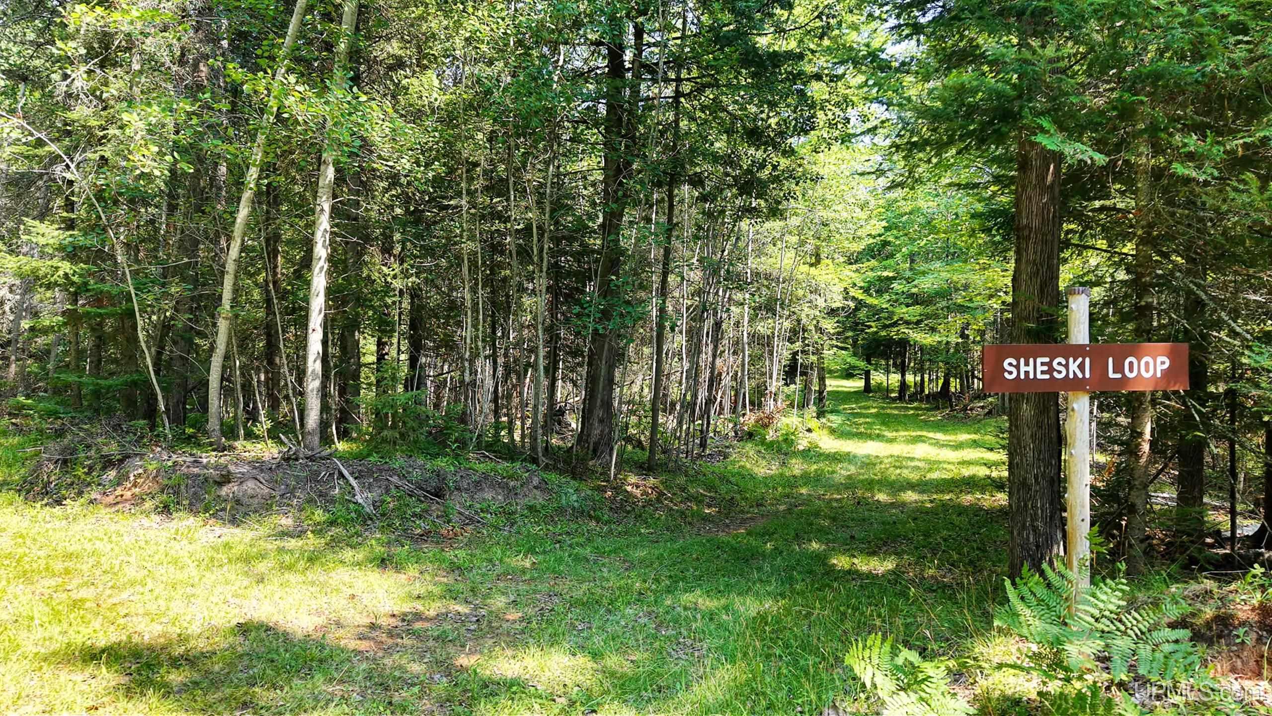 Tbd G Rd Road Property Photo 5