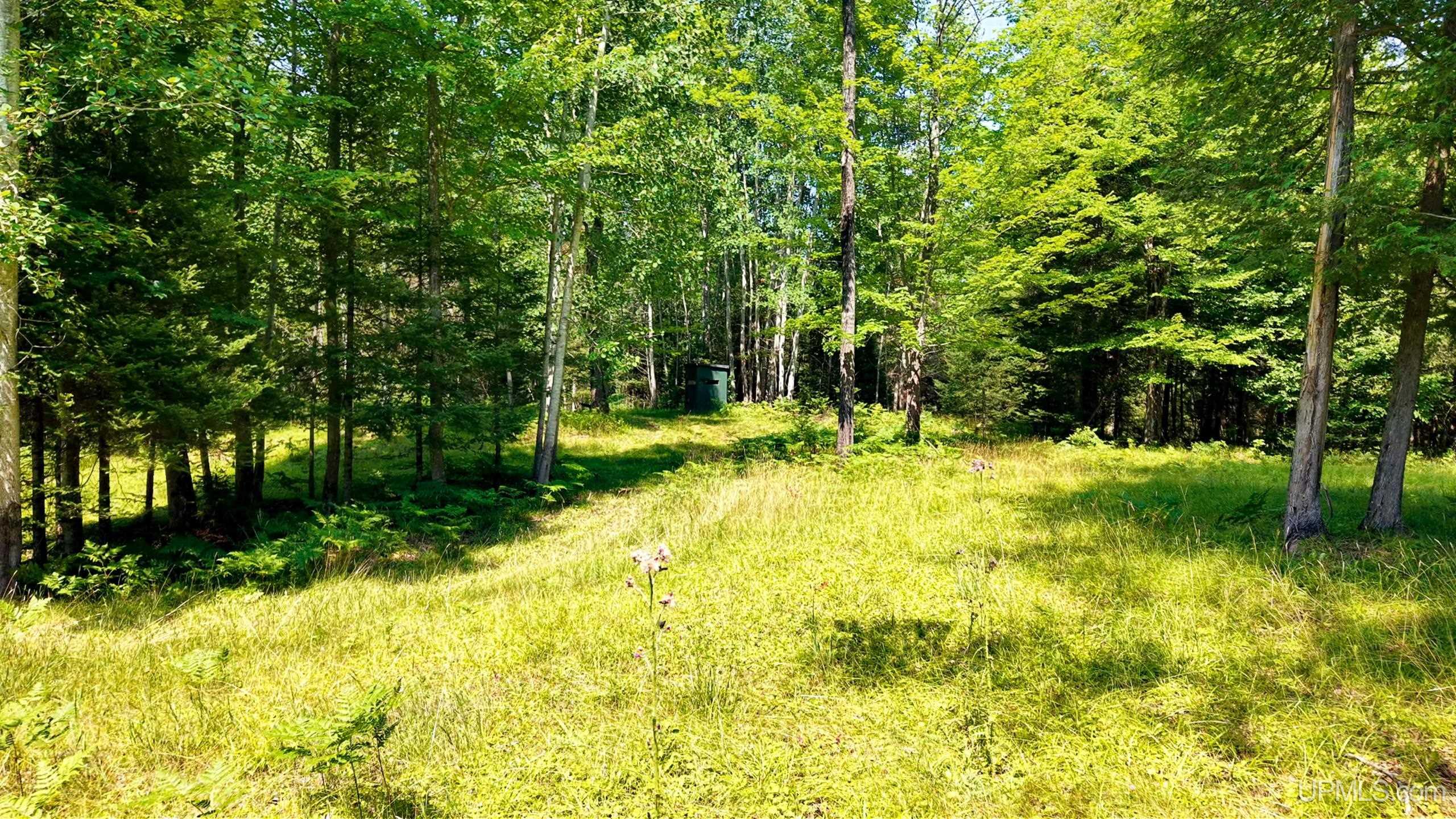 Tbd G Rd Road Property Photo 6