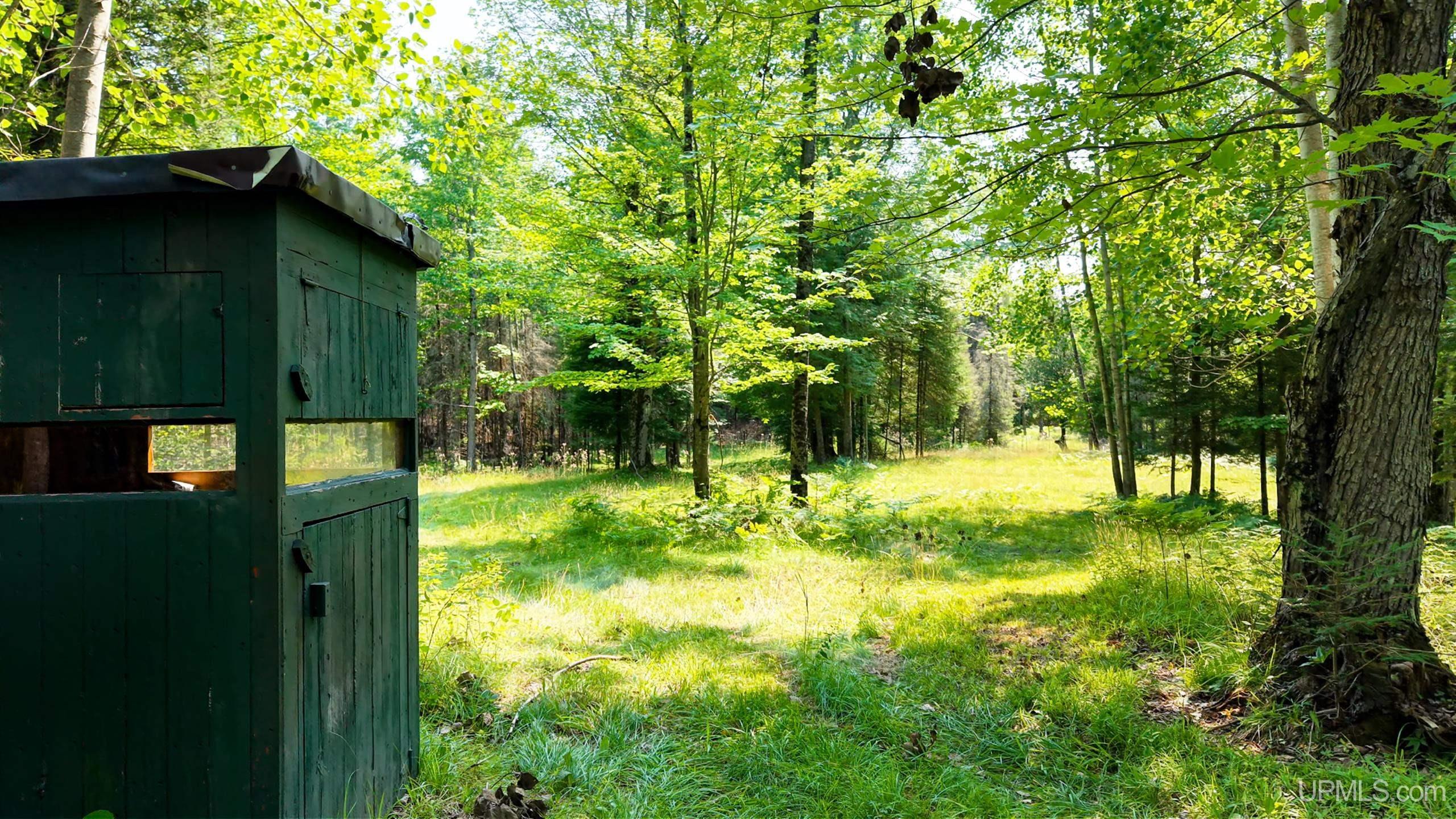Tbd G Rd Road Property Photo 8