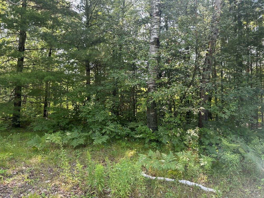 Lot 63 Popple Lane Property Photo 1