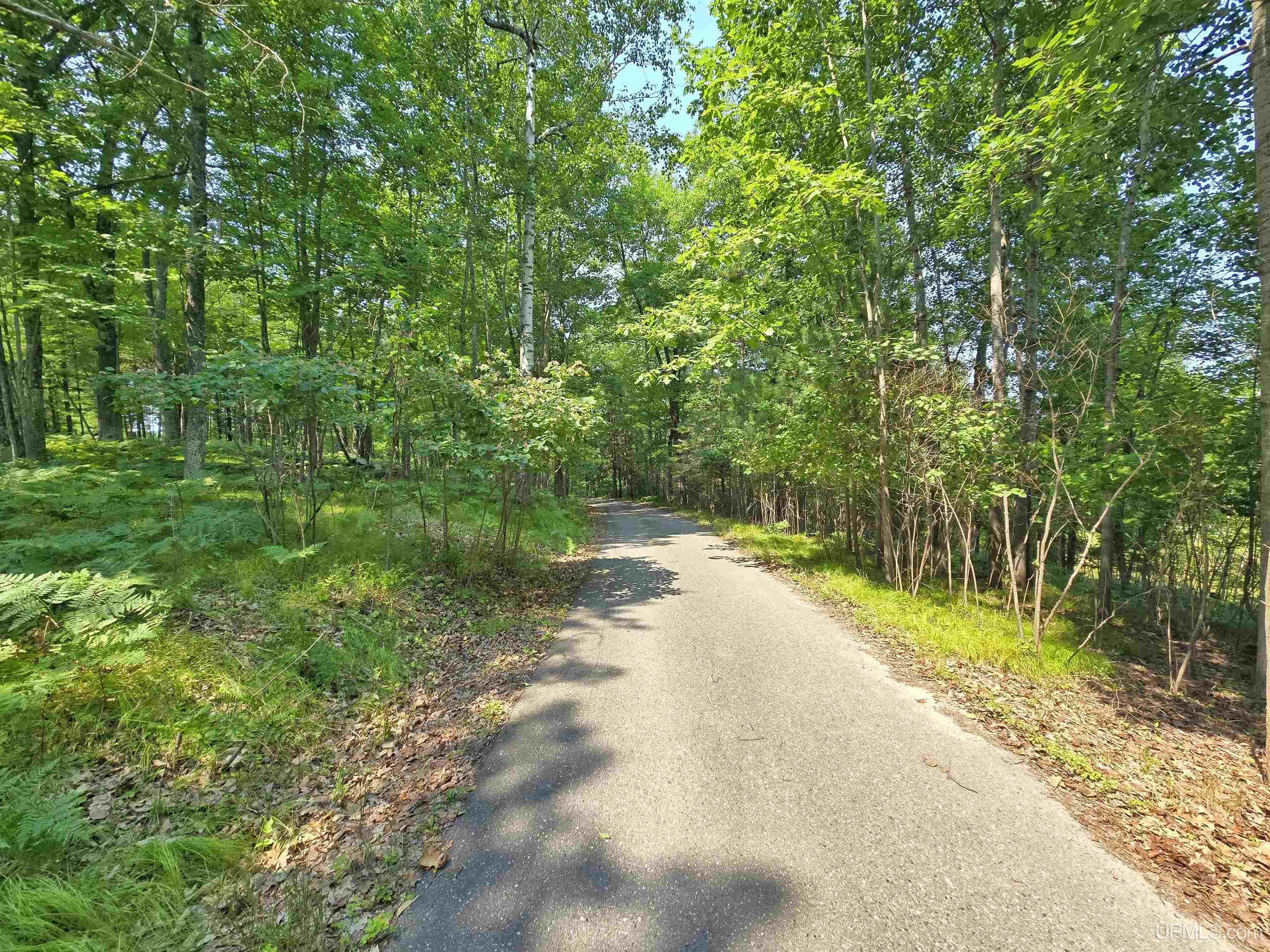 N4073 Pine Mountain Drive Property Photo 41