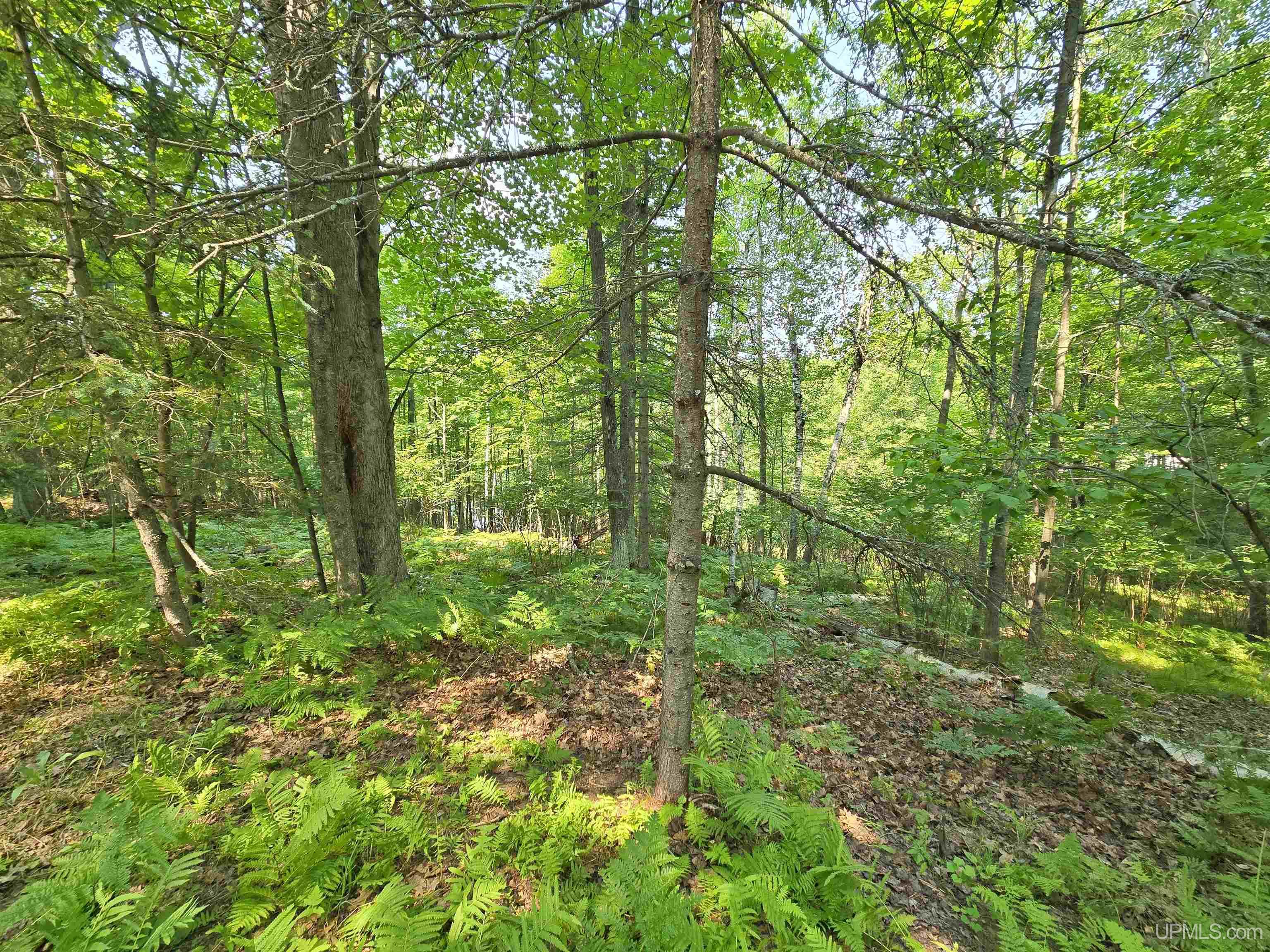 N4073 Pine Mountain Drive Property Photo 50