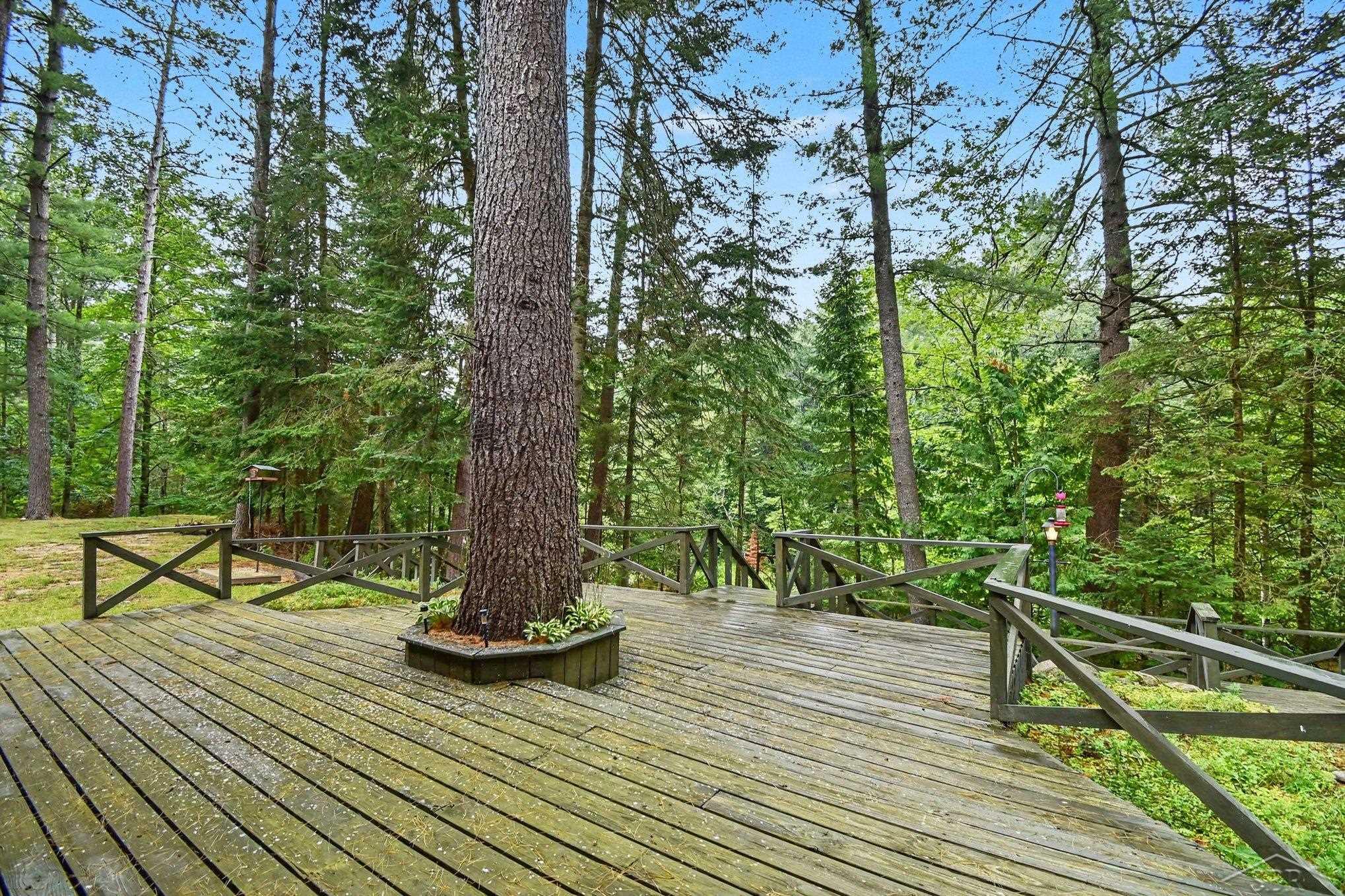 5956 Buffalo Trail Property Photo 25