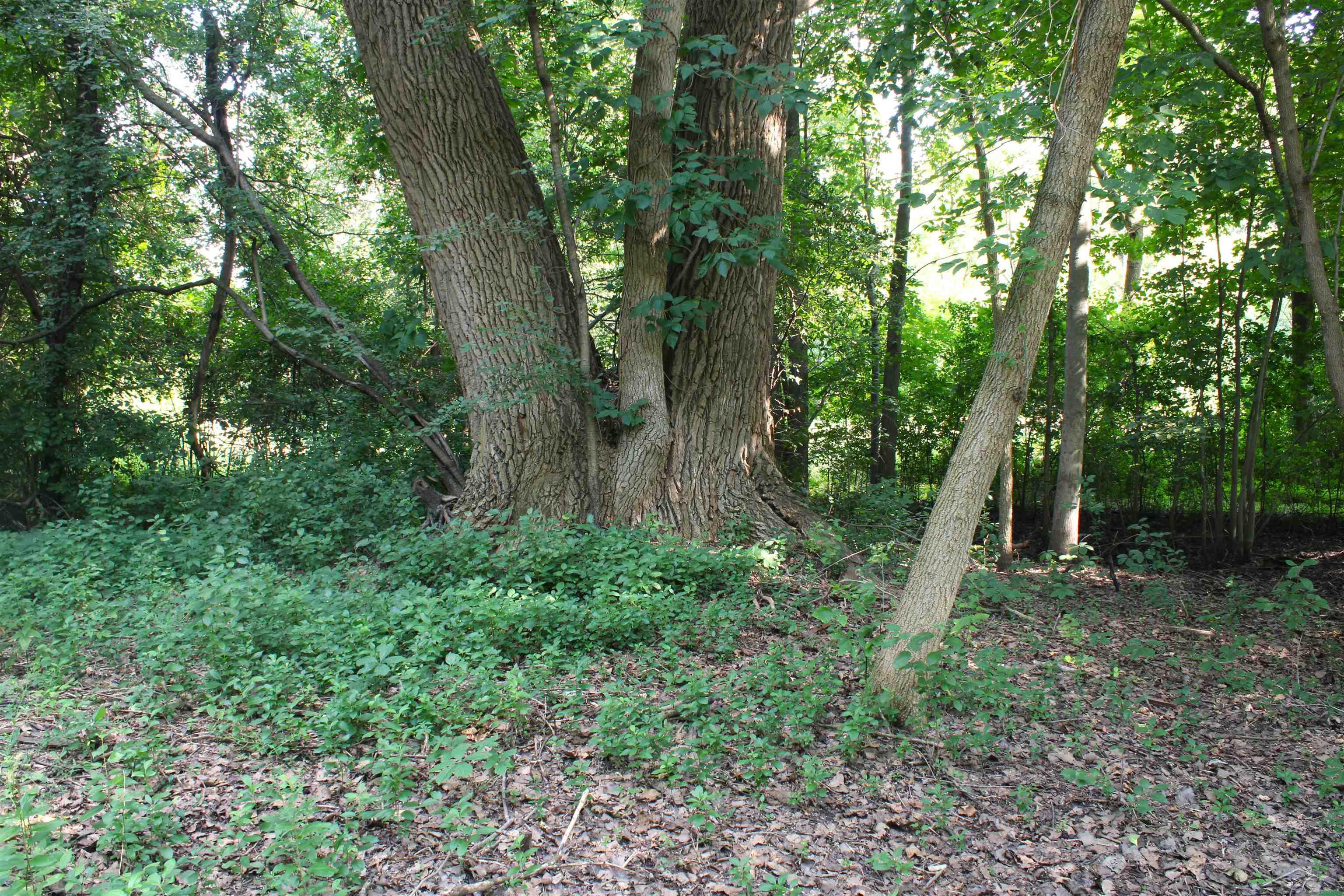 3895 S Washington Road Property Photo 32