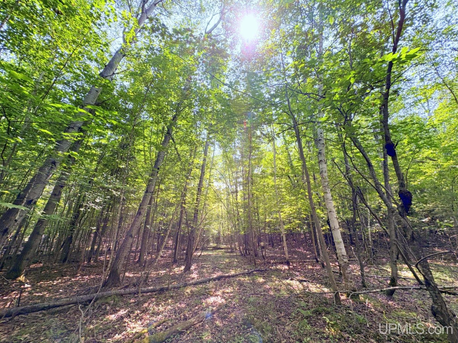 Tbd Parcel A S Tracie Lane Property Photo 2