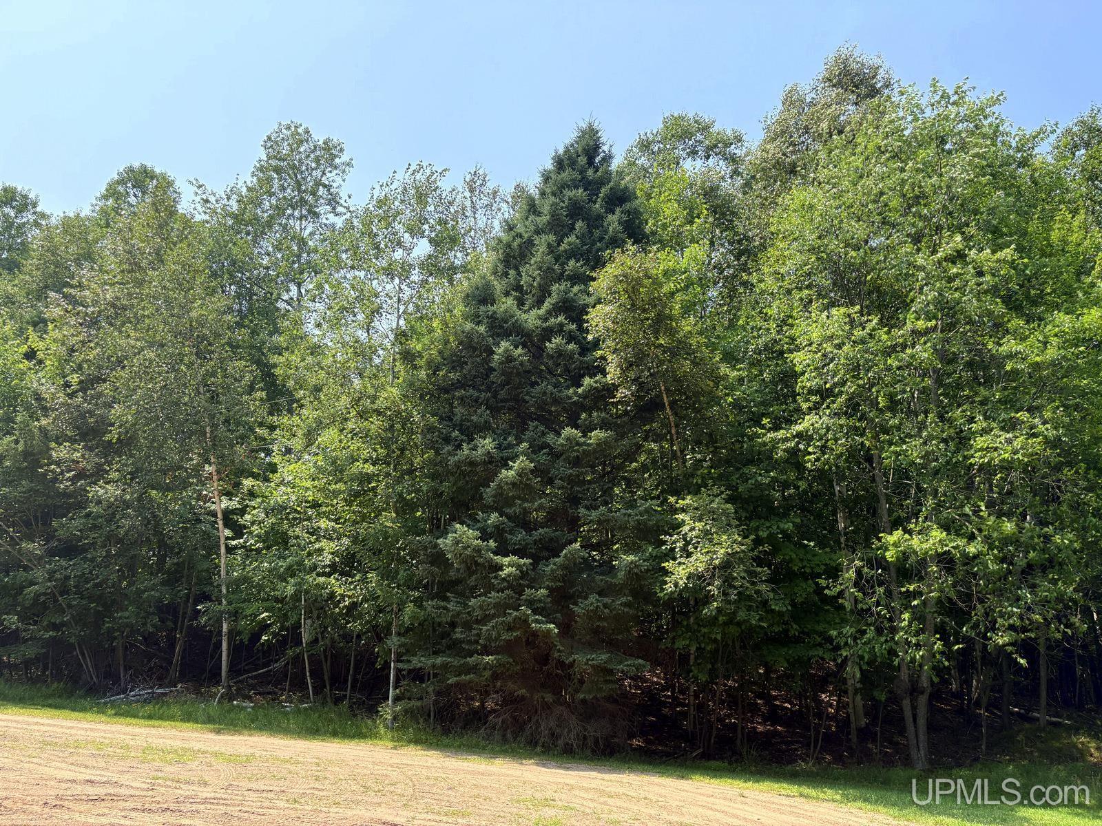 Tbd Parcel A S Tracie Lane Property Photo 4