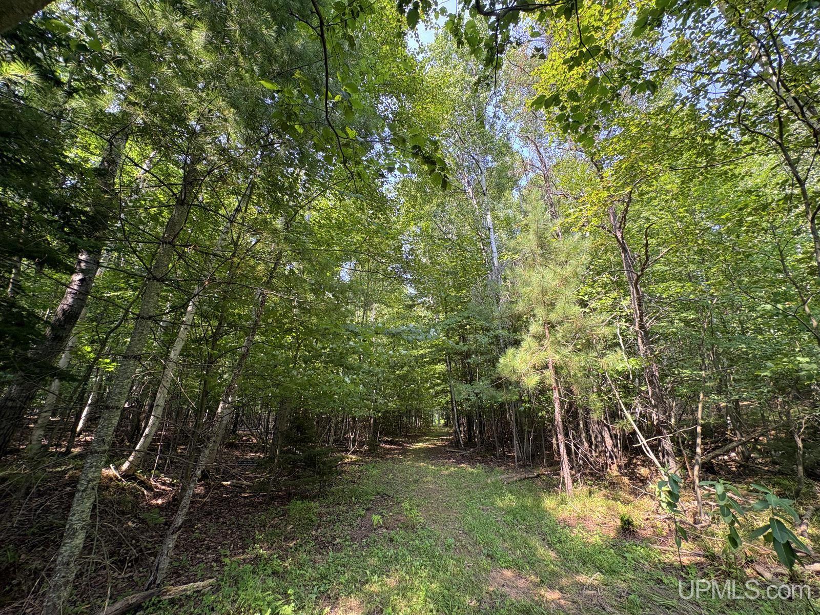 Tbd Parcel A S Tracie Lane Property Photo 11