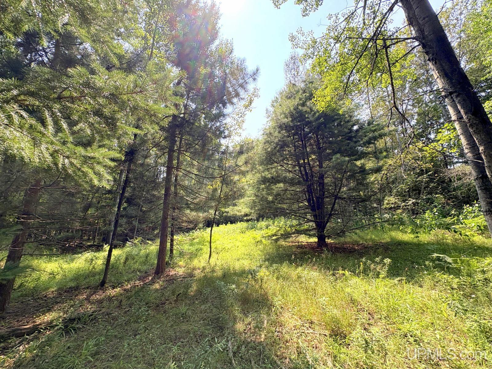 Tbd Parcel A S Tracie Lane Property Photo 13