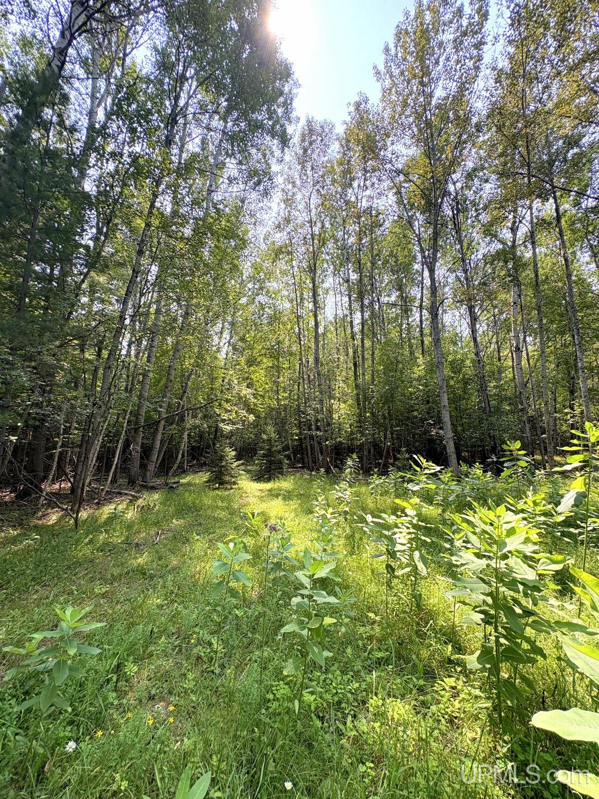 Tbd Parcel A S Tracie Lane Property Photo 15