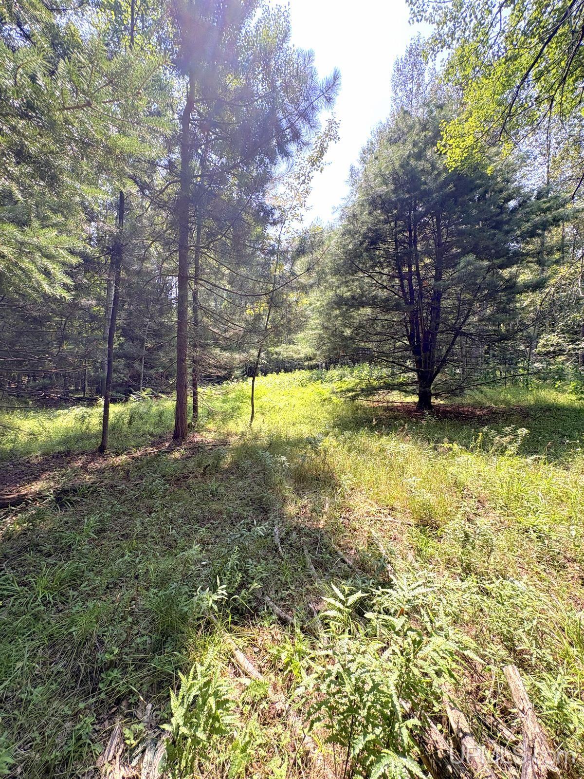 Tbd Parcel A S Tracie Lane Property Photo 16
