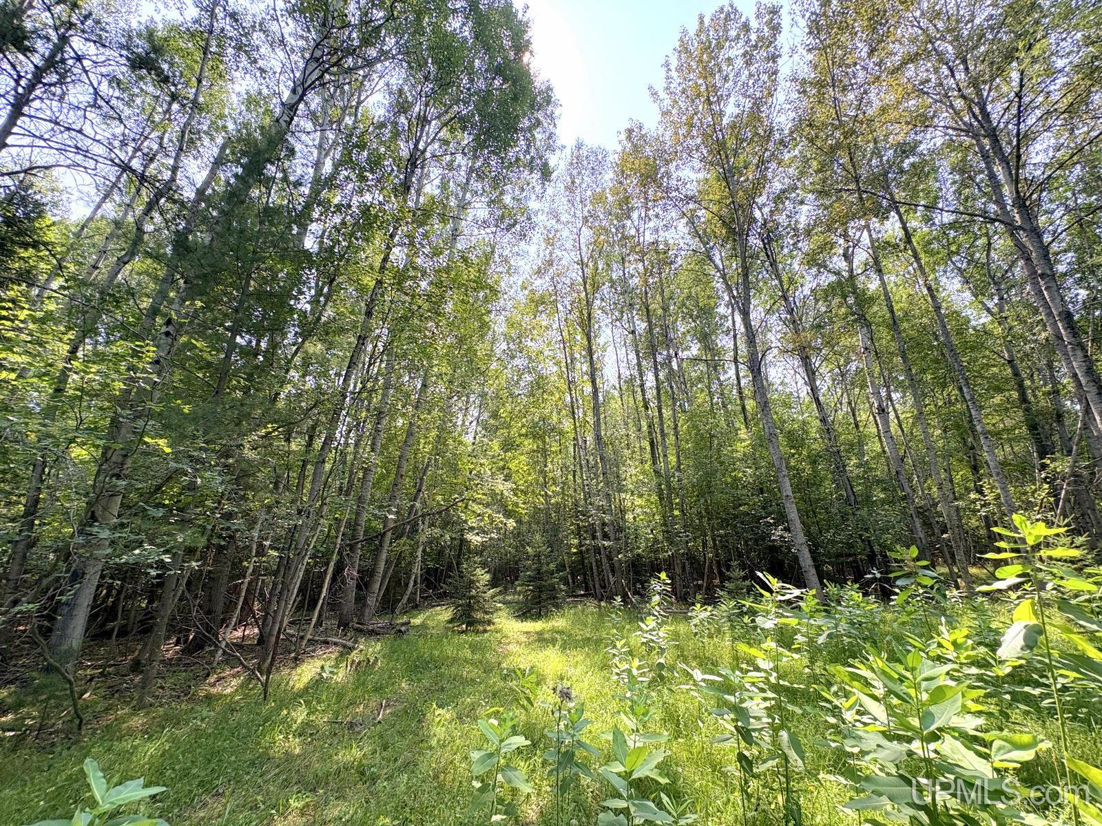 Tbd Parcel A S Tracie Lane Property Photo 21