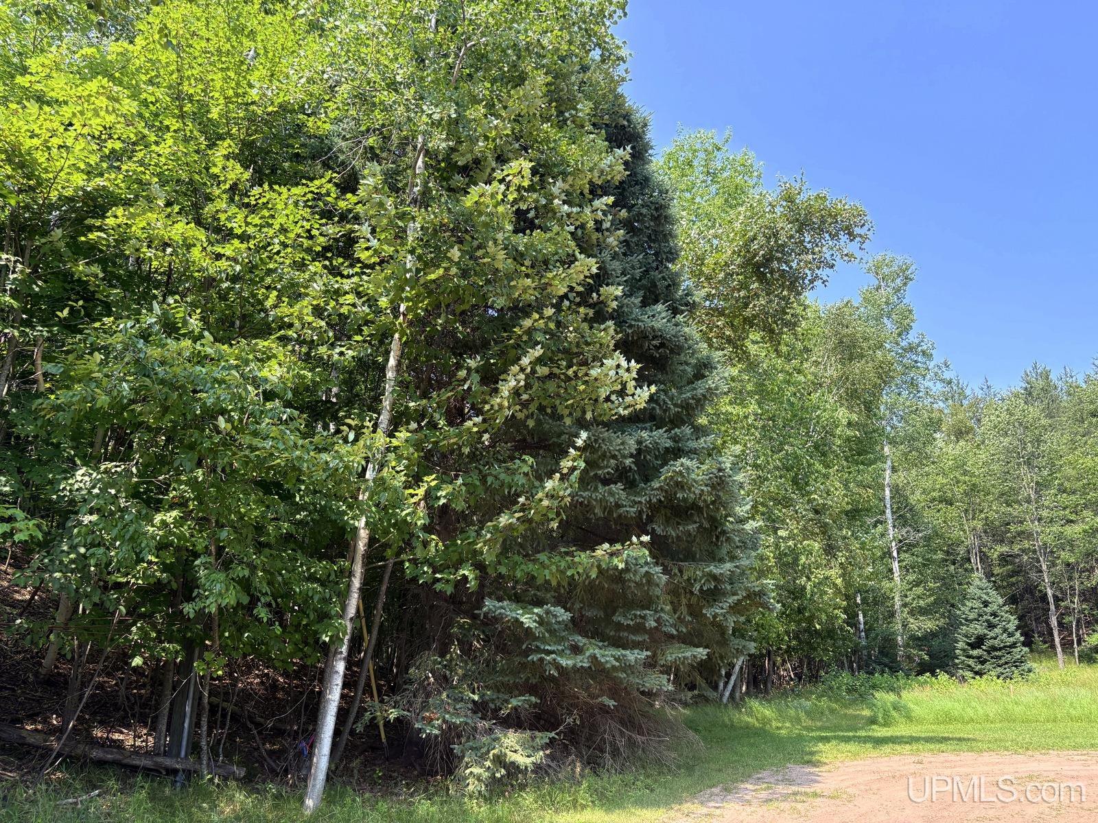 Tbd Parcel A S Tracie Lane Property Photo 27